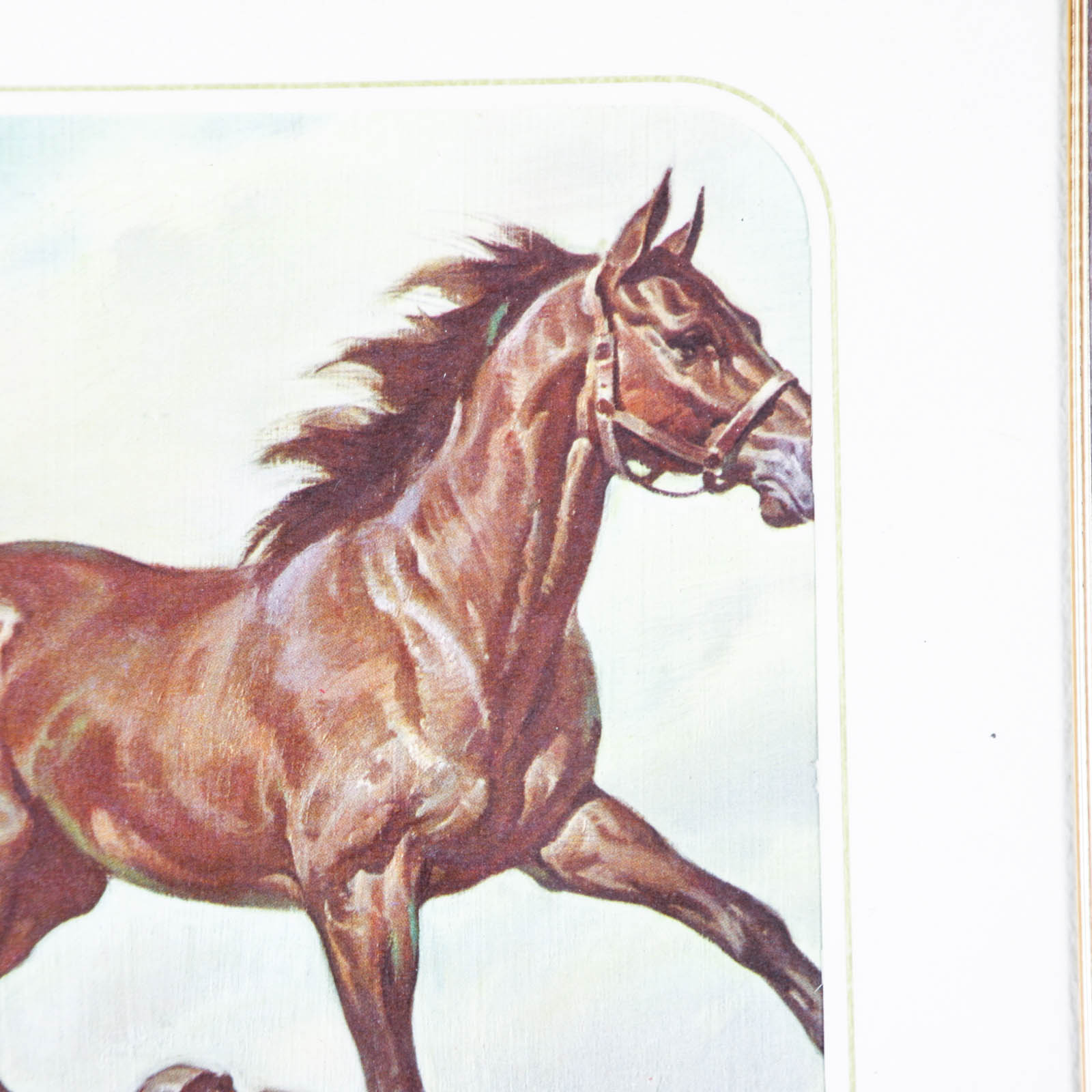 Four Offset Lithograph Horse Prints