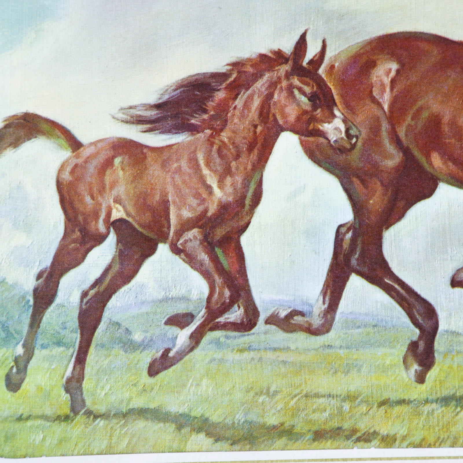 Four Offset Lithograph Horse Prints