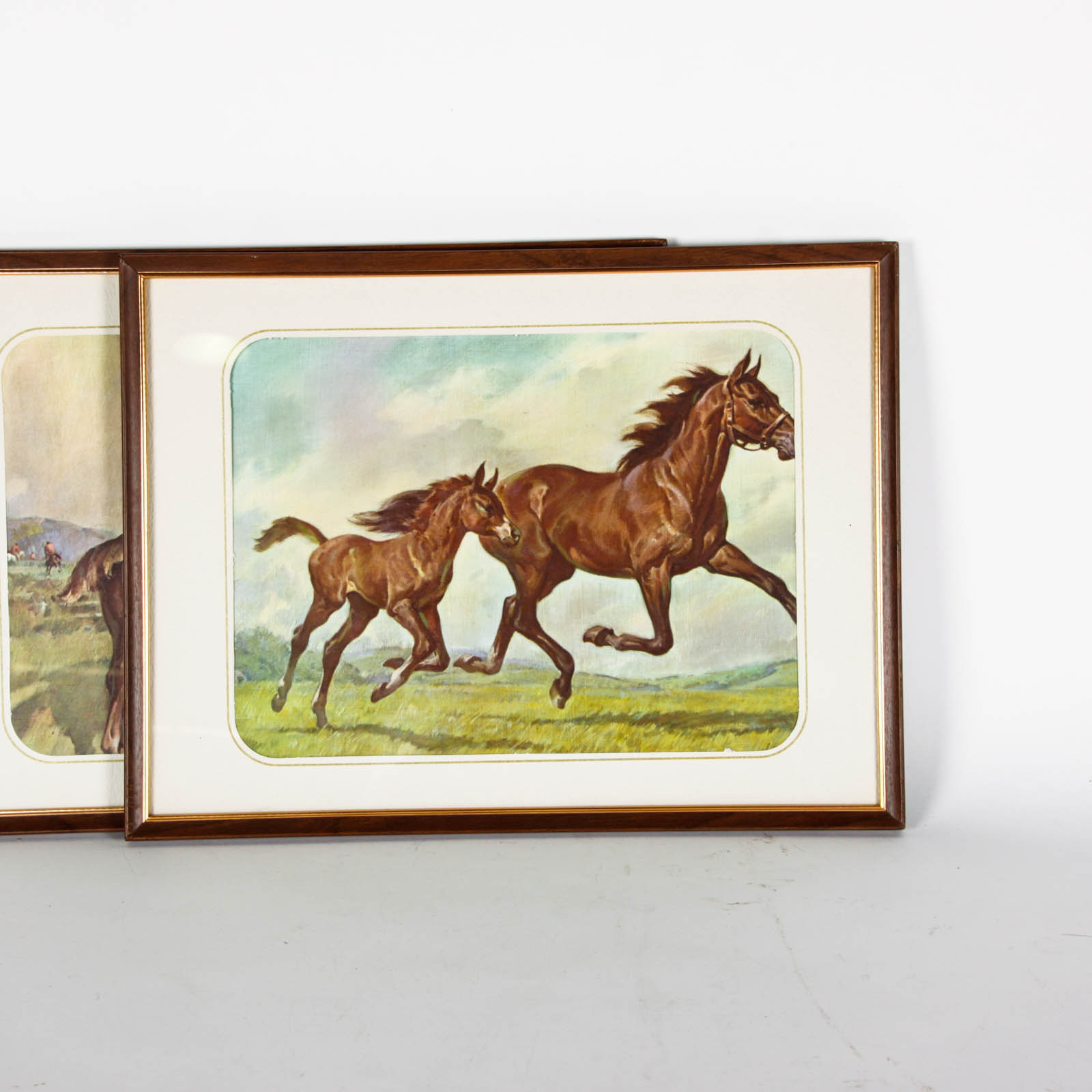 Four Offset Lithograph Horse Prints