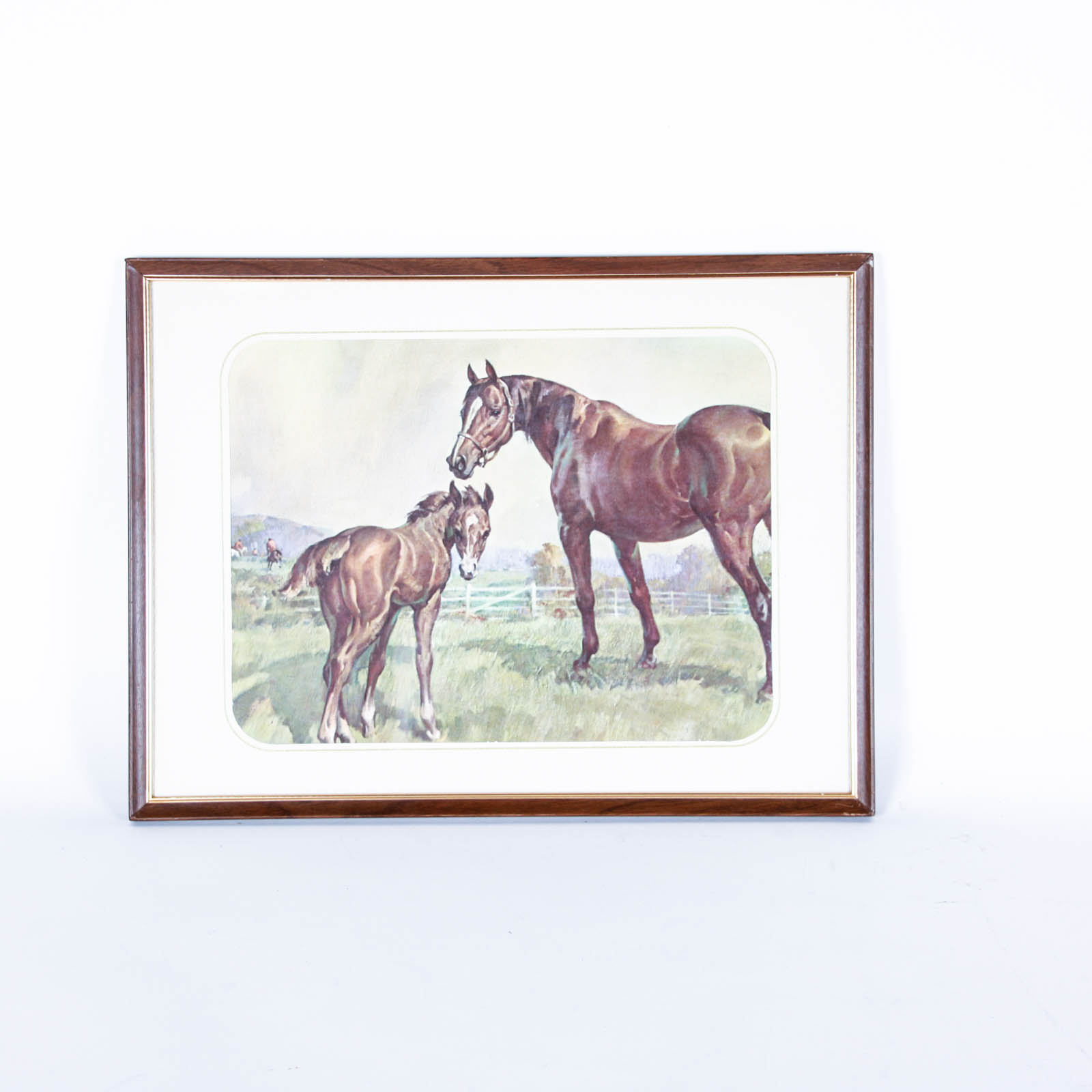 Four Offset Lithograph Horse Prints