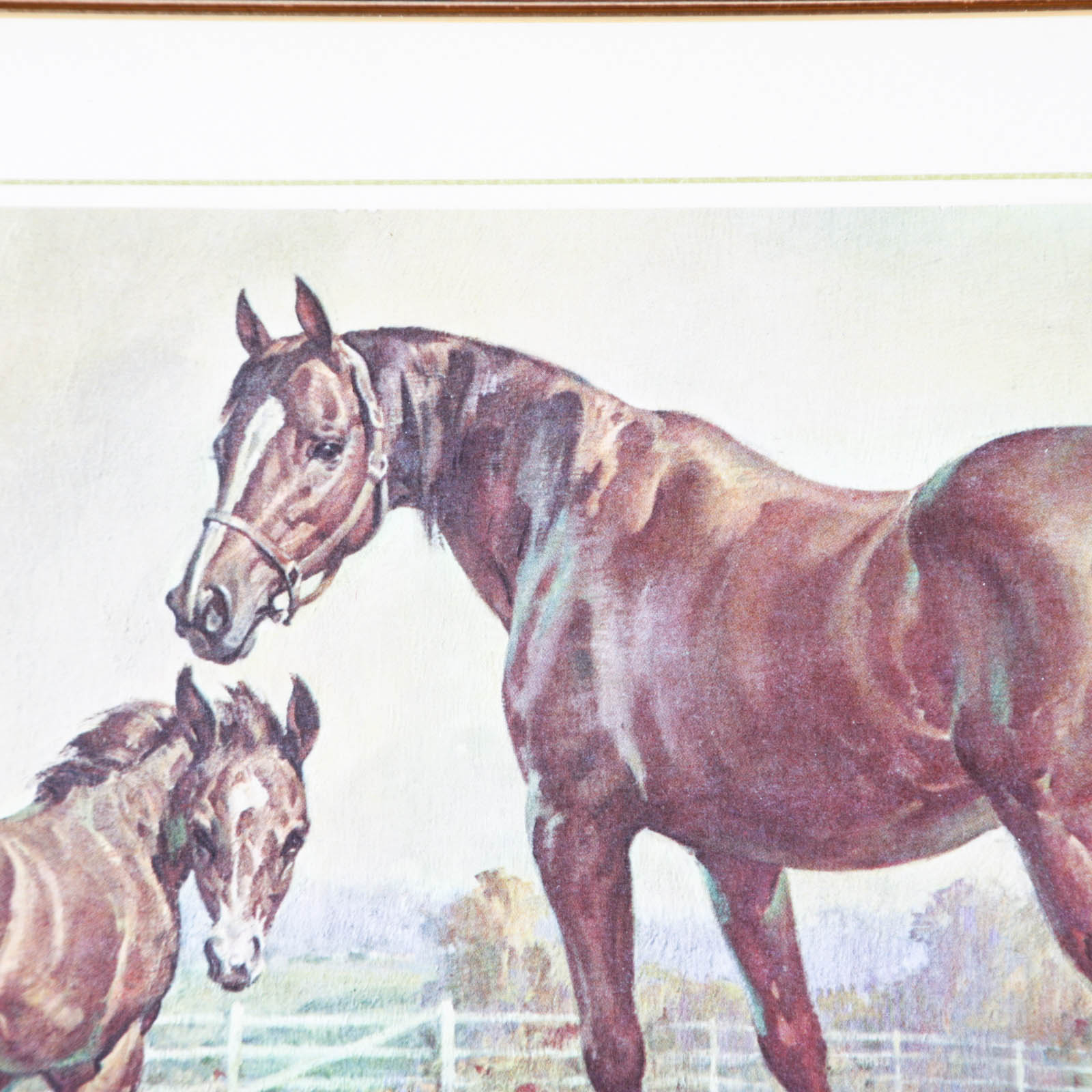 Four Offset Lithograph Horse Prints