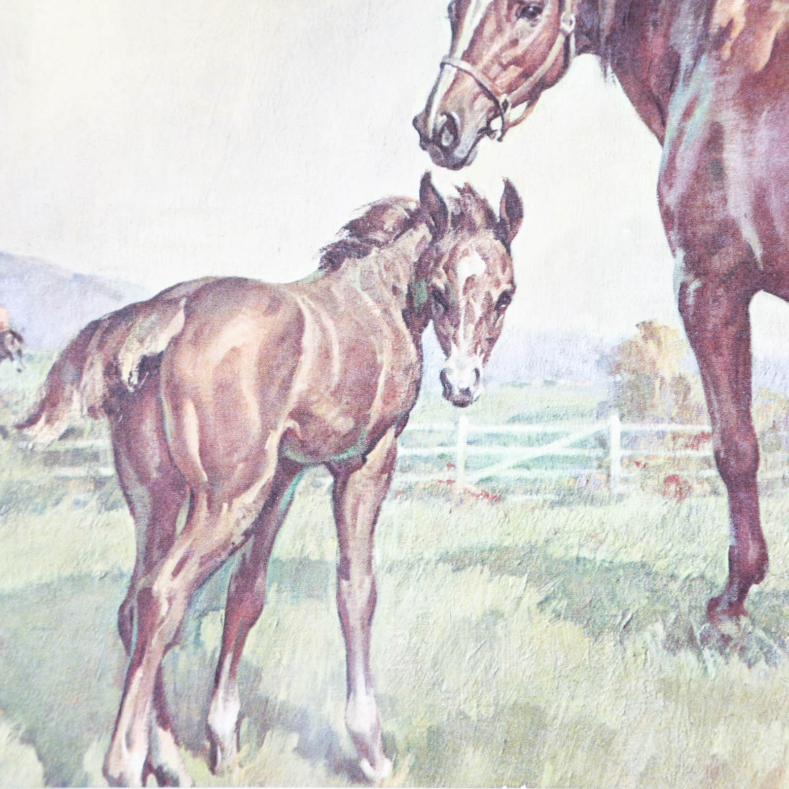 Four Offset Lithograph Horse Prints