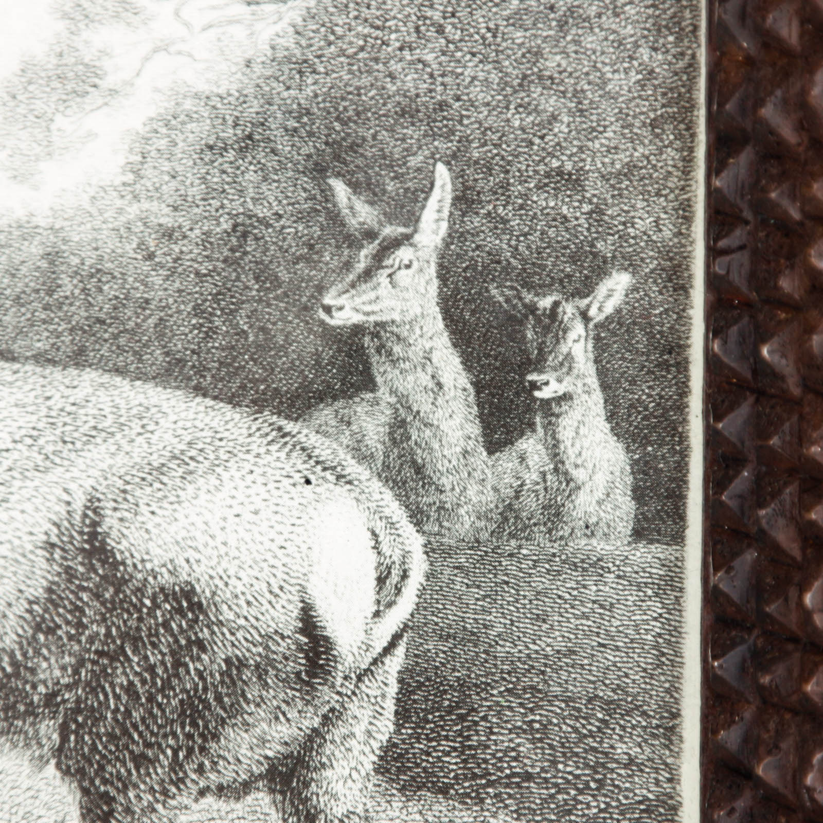 Framed Deer Engraving