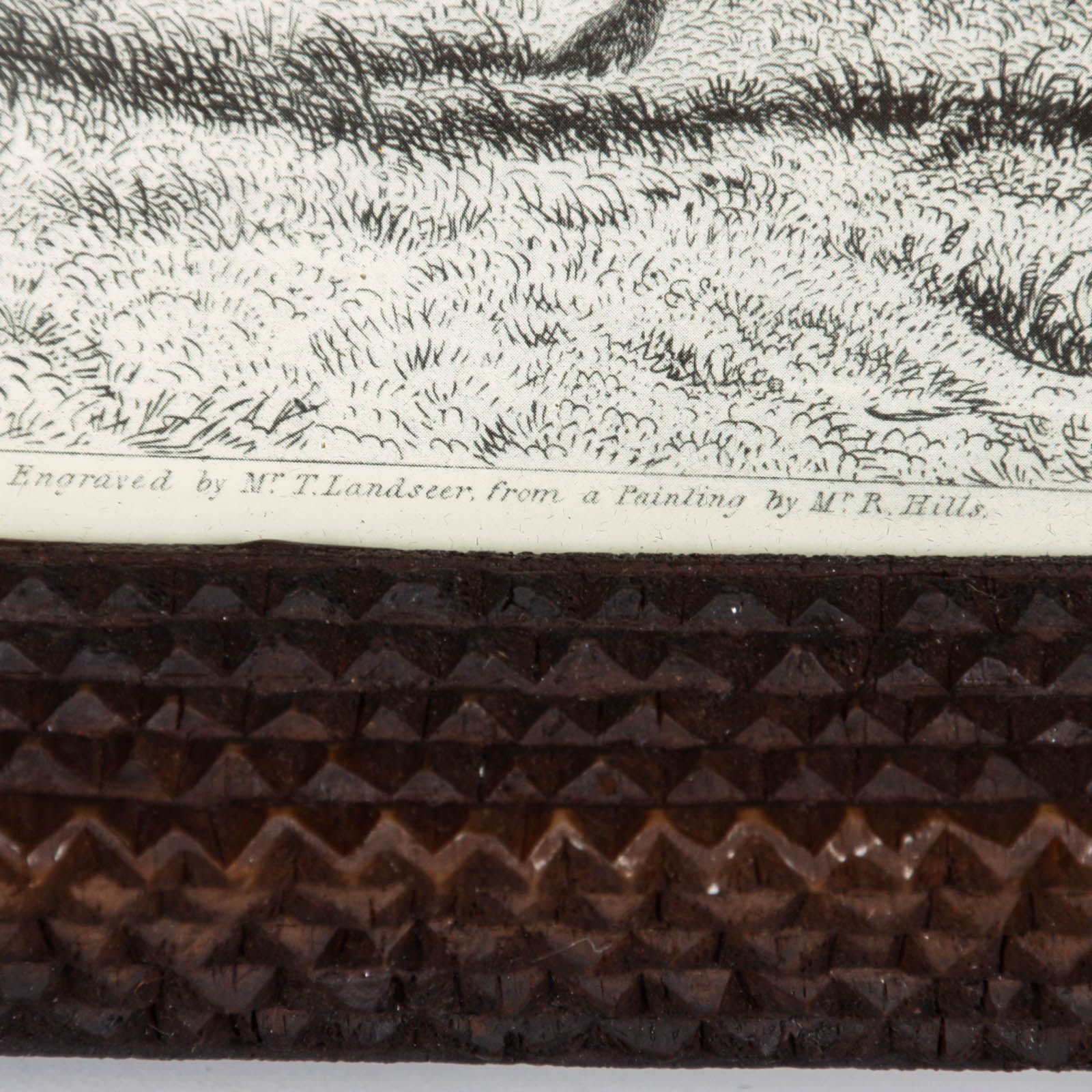 Framed Deer Engraving