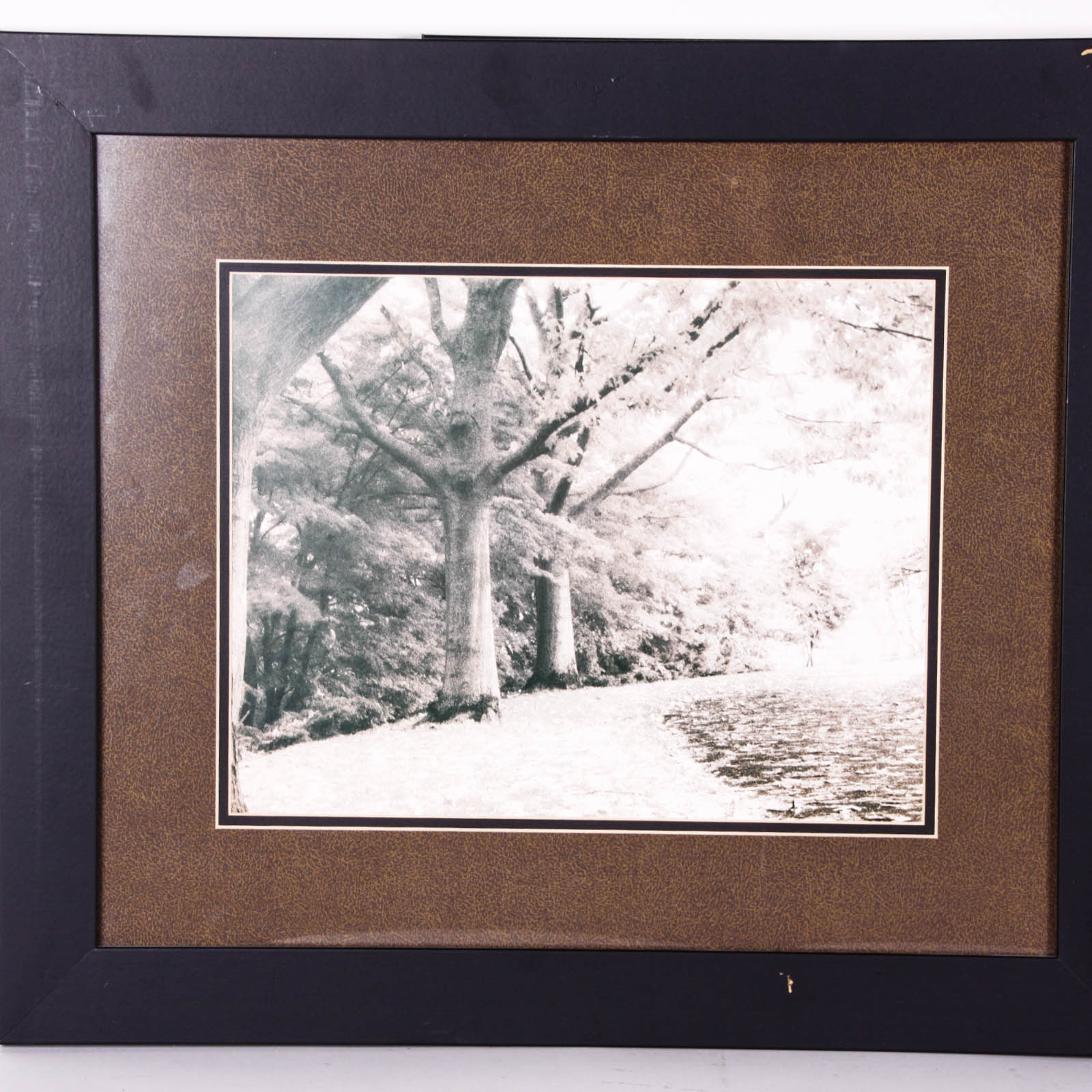 Framed Black and White Photograph Giclée Prints