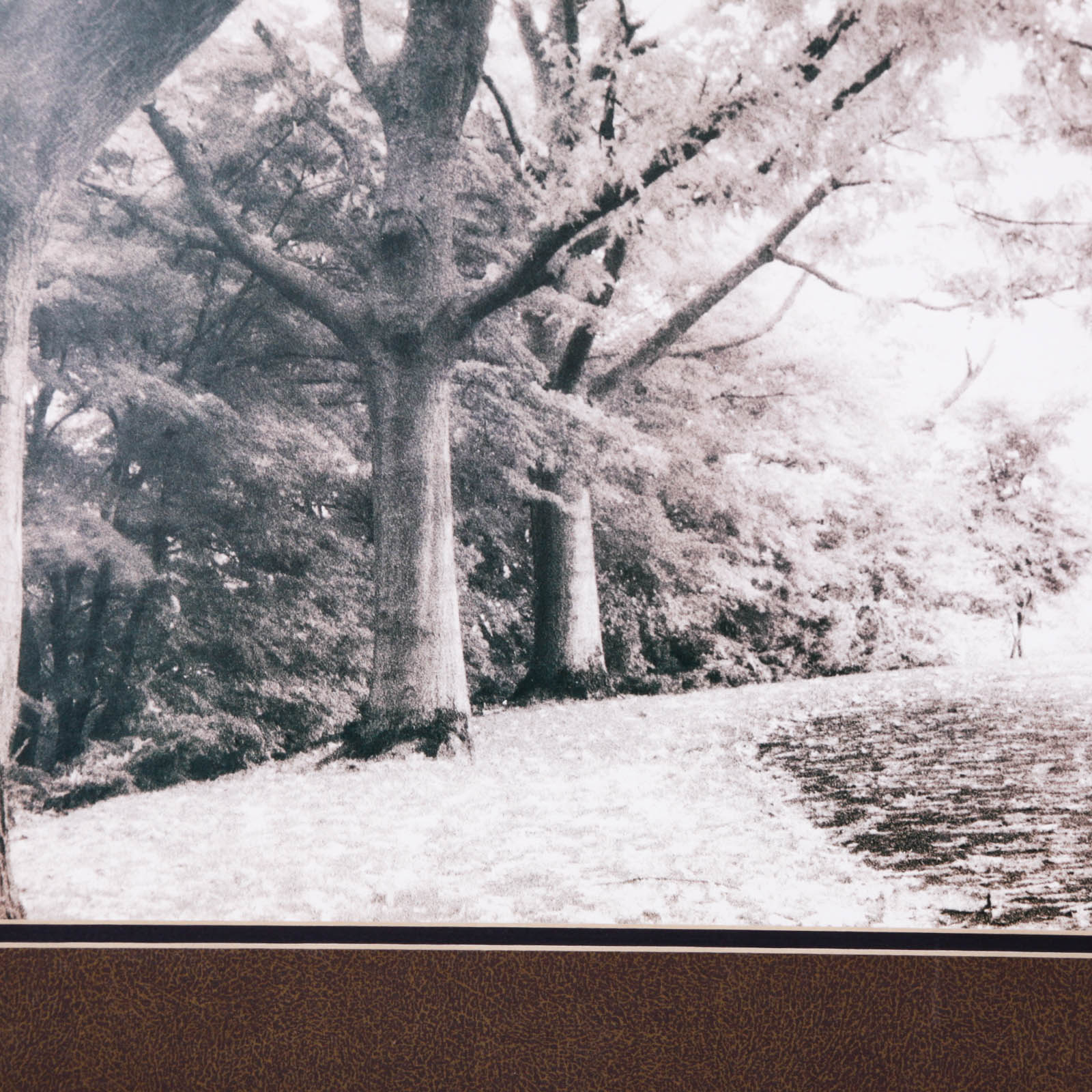 Framed Black and White Photograph Giclée Prints