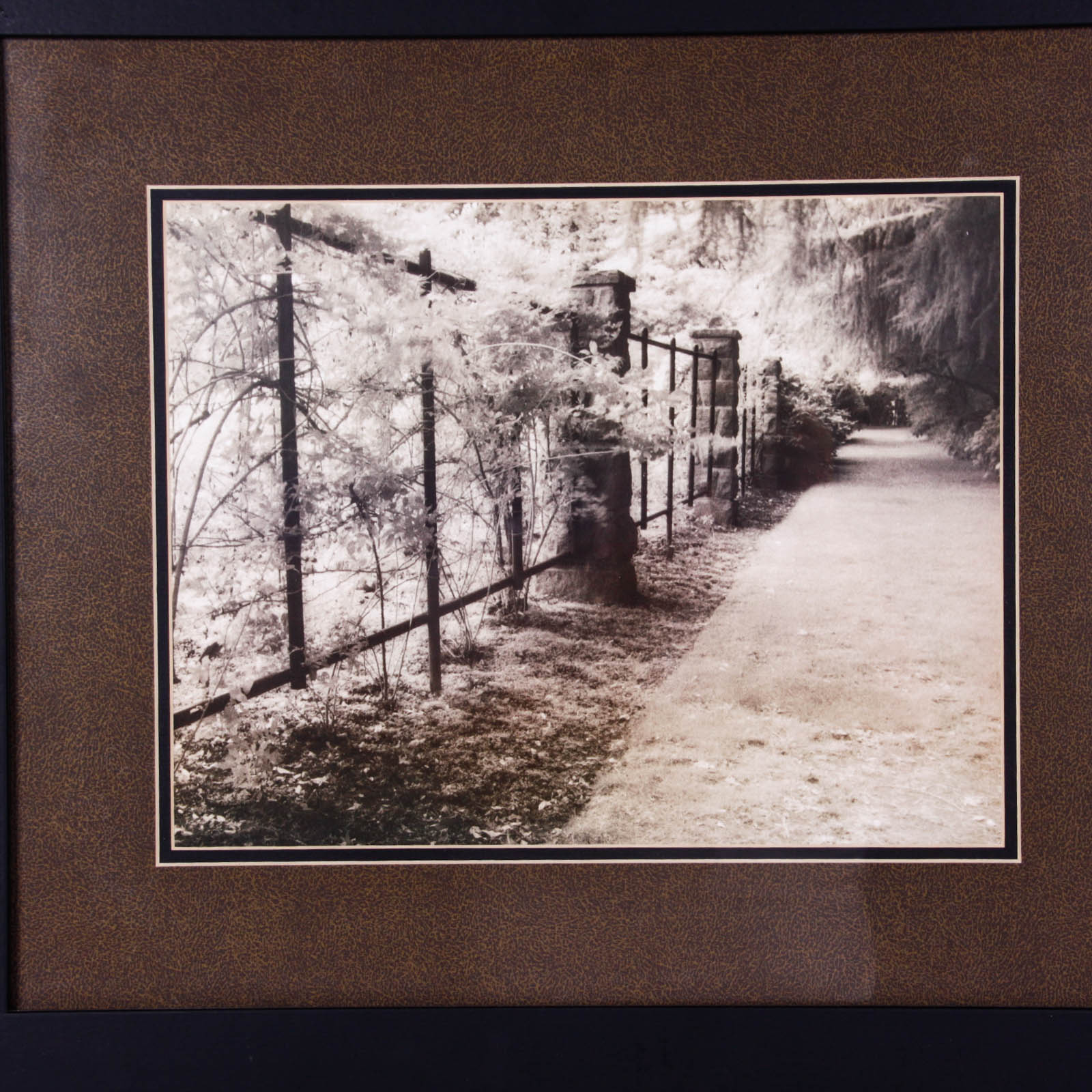 Framed Black and White Photograph Giclée Prints