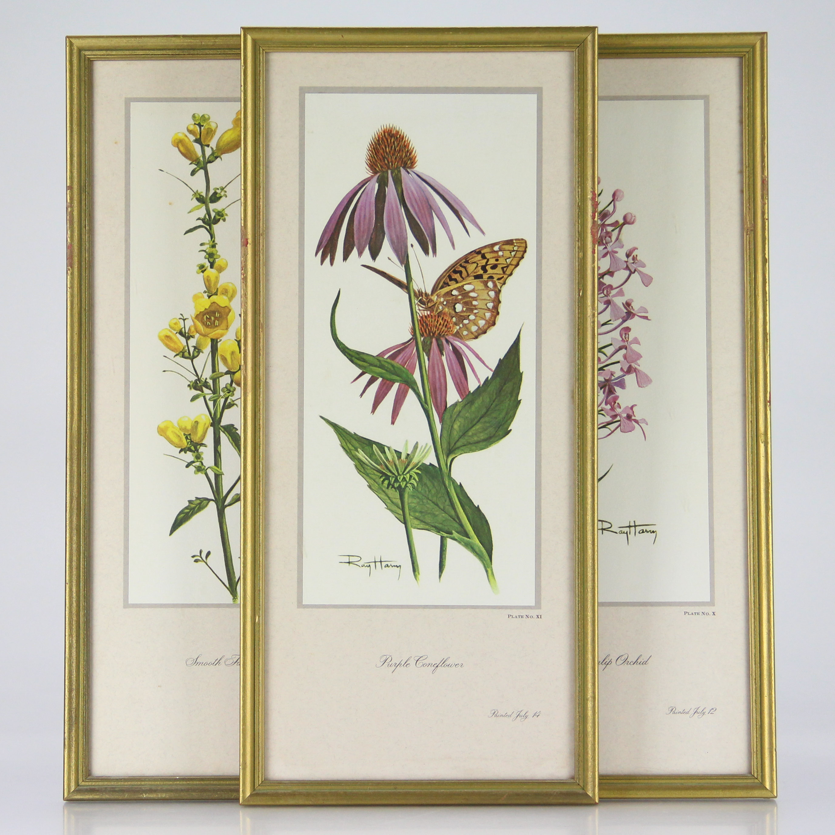 Trio of Floral Offset Lithographs After Ray Harm