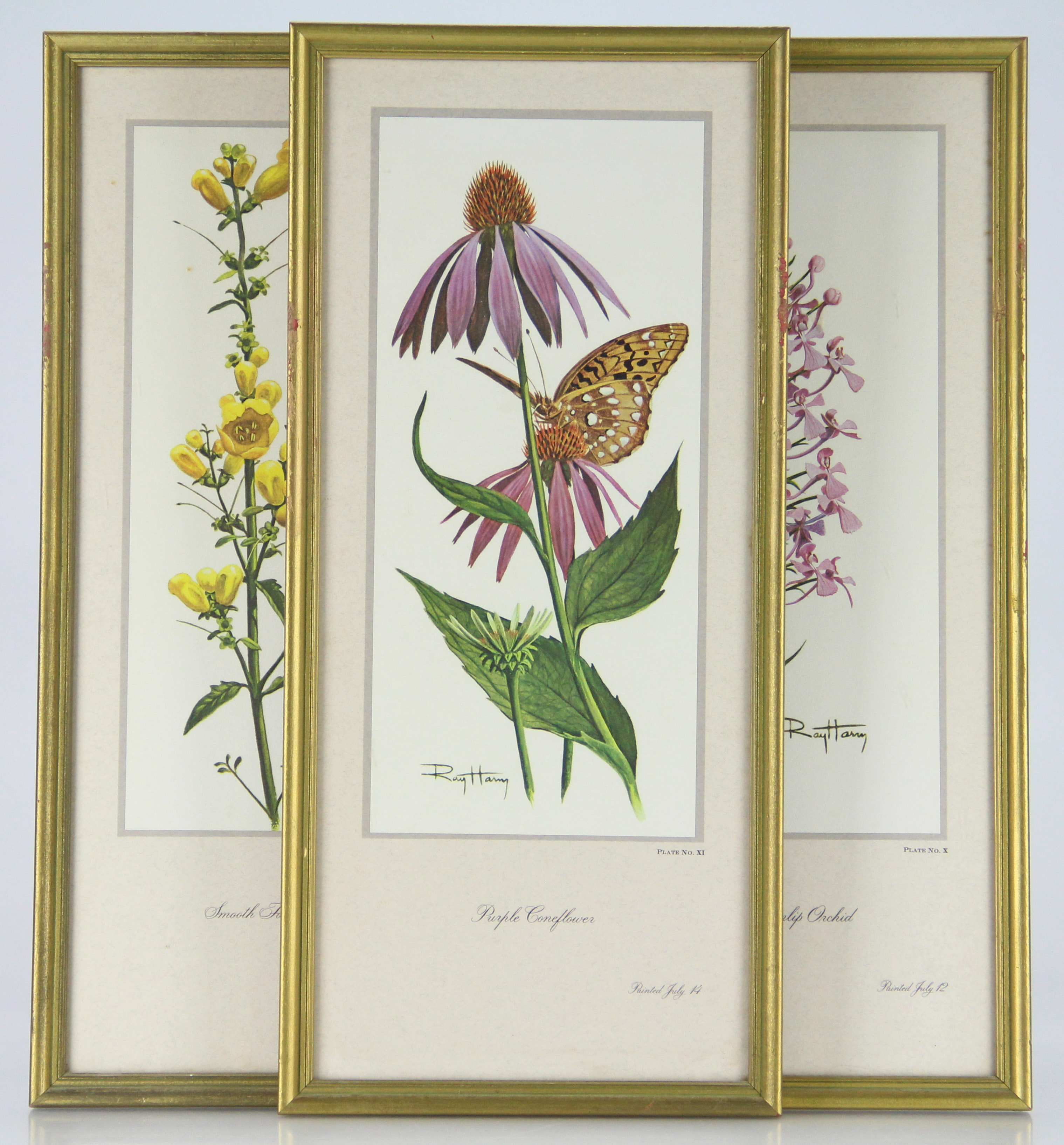 Trio of Floral Offset Lithographs After Ray Harm