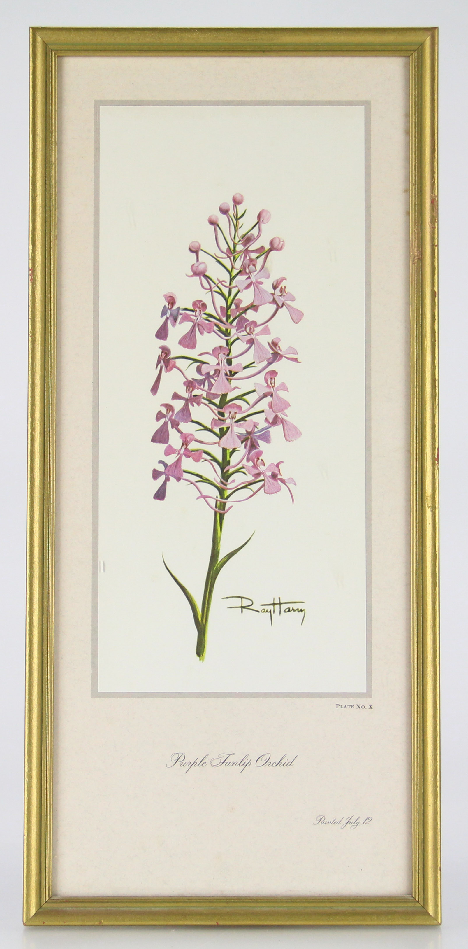 Trio of Floral Offset Lithographs After Ray Harm