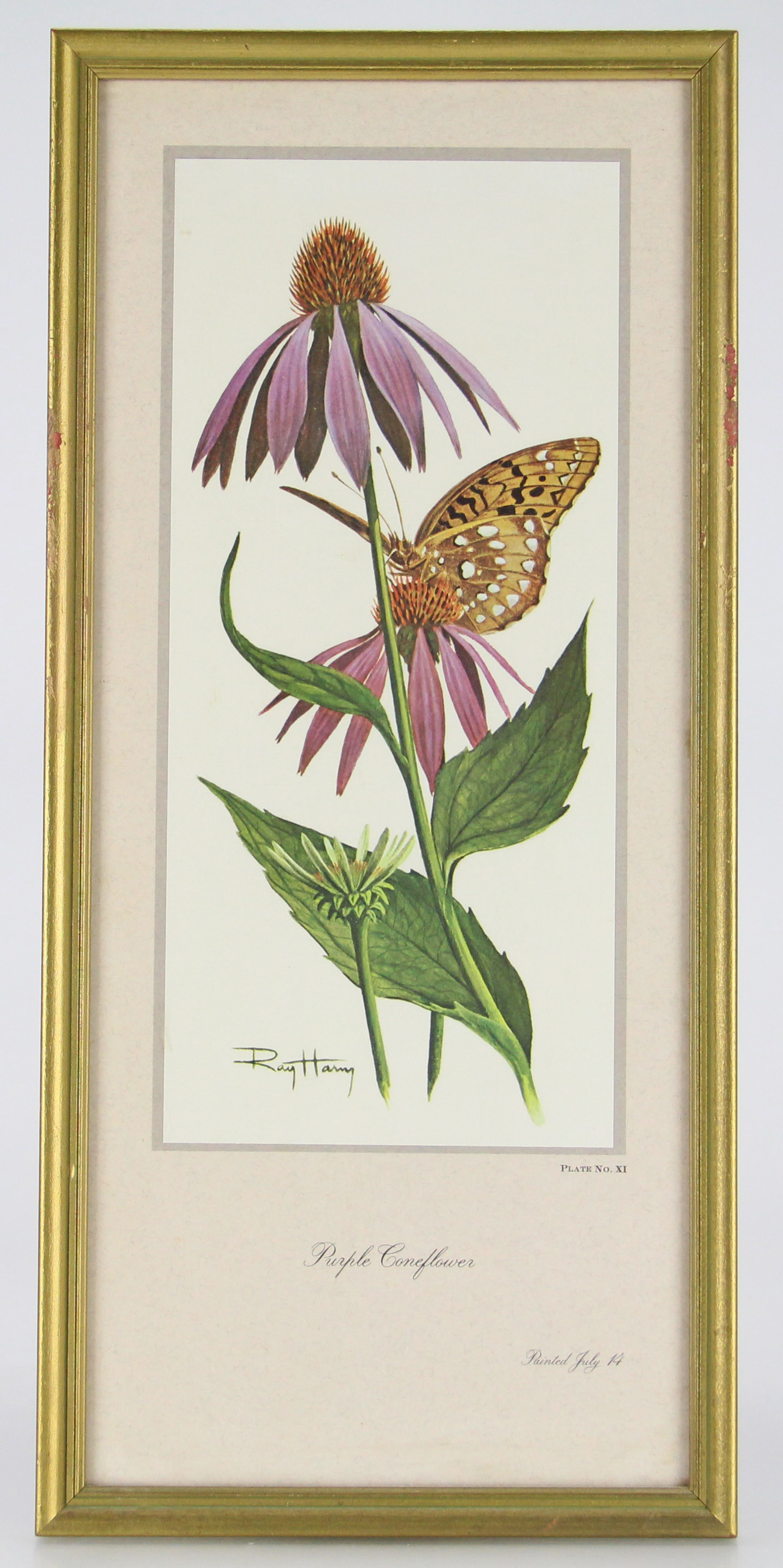 Trio of Floral Offset Lithographs After Ray Harm