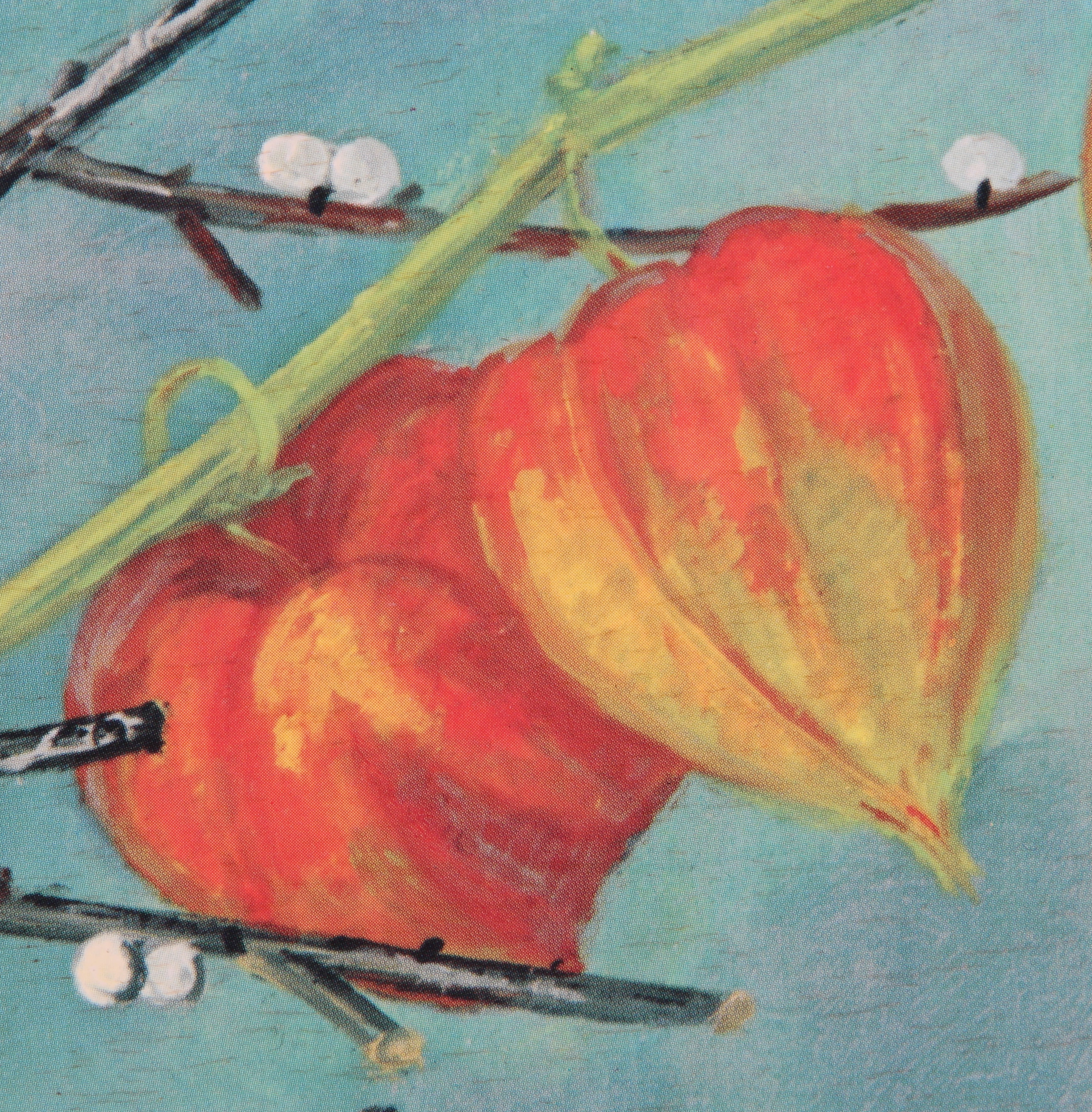 Offset Lithograph of a Still Life after Marjorie E. G. Swinson