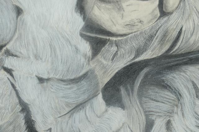 Donna M. Holstein Graphite and Pastel Drawing of the Cowardly Lion