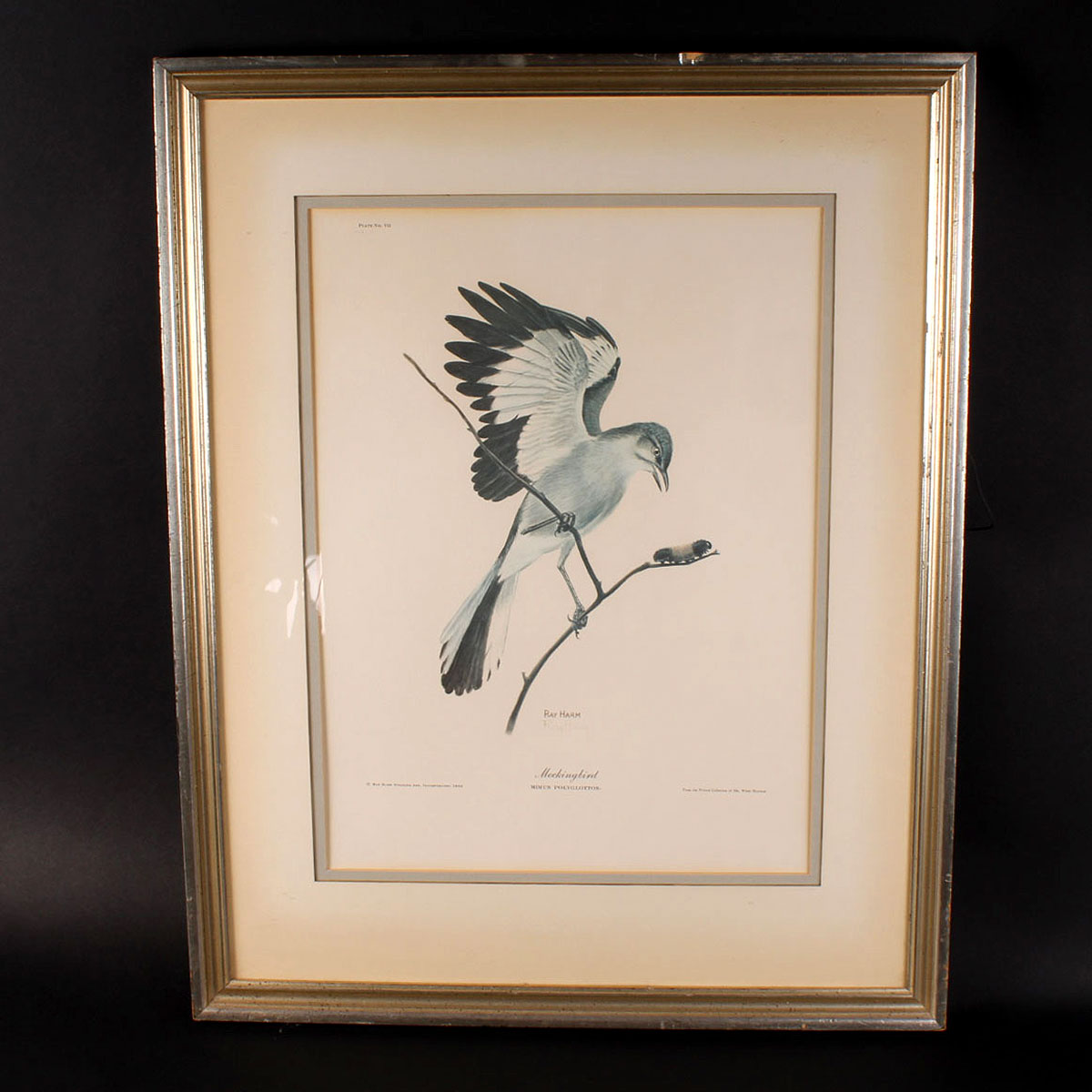 Ray Harm Signed and Framed Mockingbird Offset Lithograph