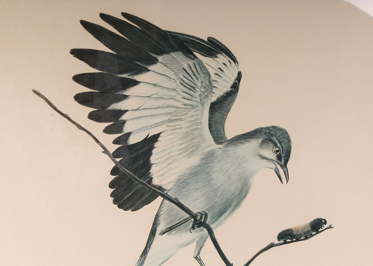 Ray Harm Signed and Framed Mockingbird Offset Lithograph