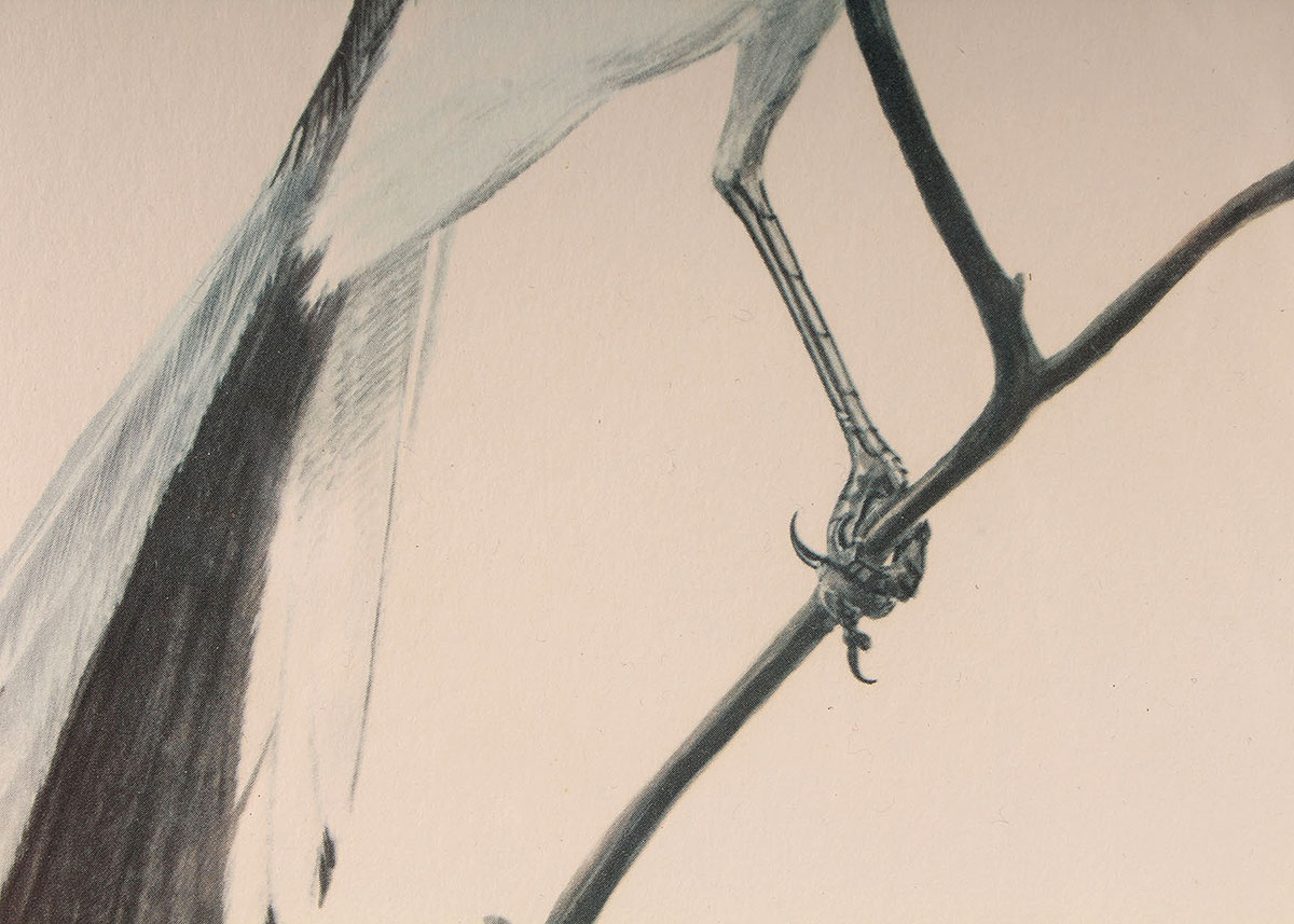 Ray Harm Signed and Framed Mockingbird Offset Lithograph