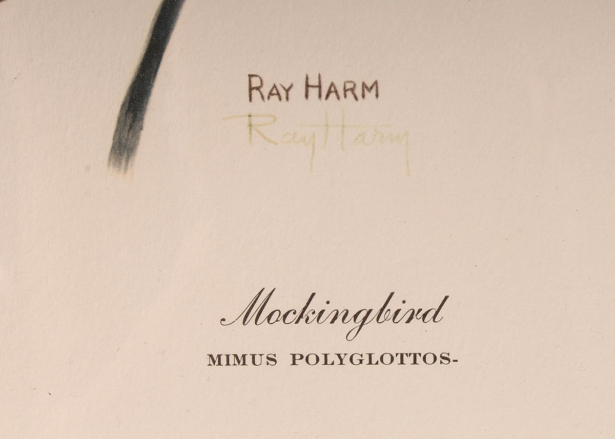 Ray Harm Signed and Framed Mockingbird Offset Lithograph