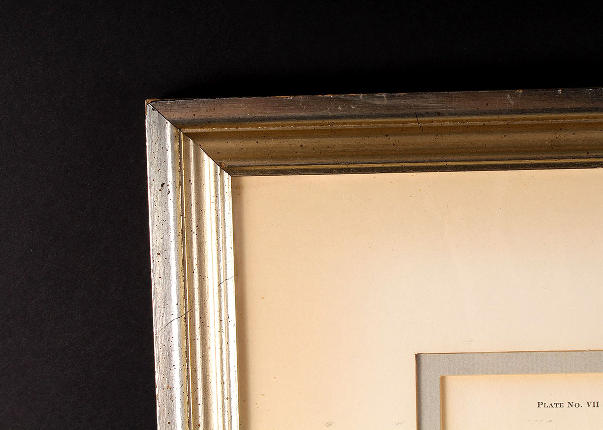 Ray Harm Signed and Framed Mockingbird Offset Lithograph