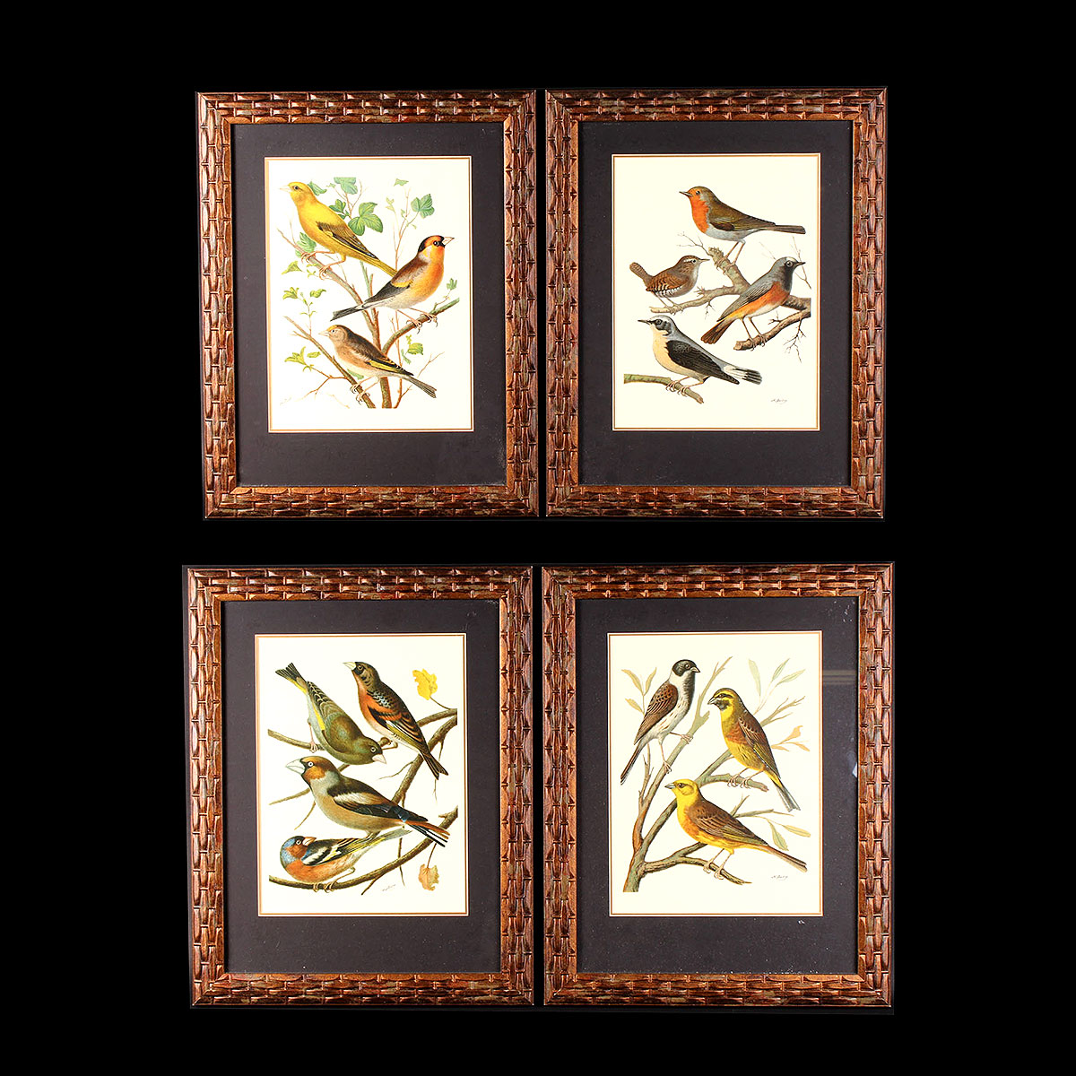W. Rutledge Framed Birds Offset Lithographs