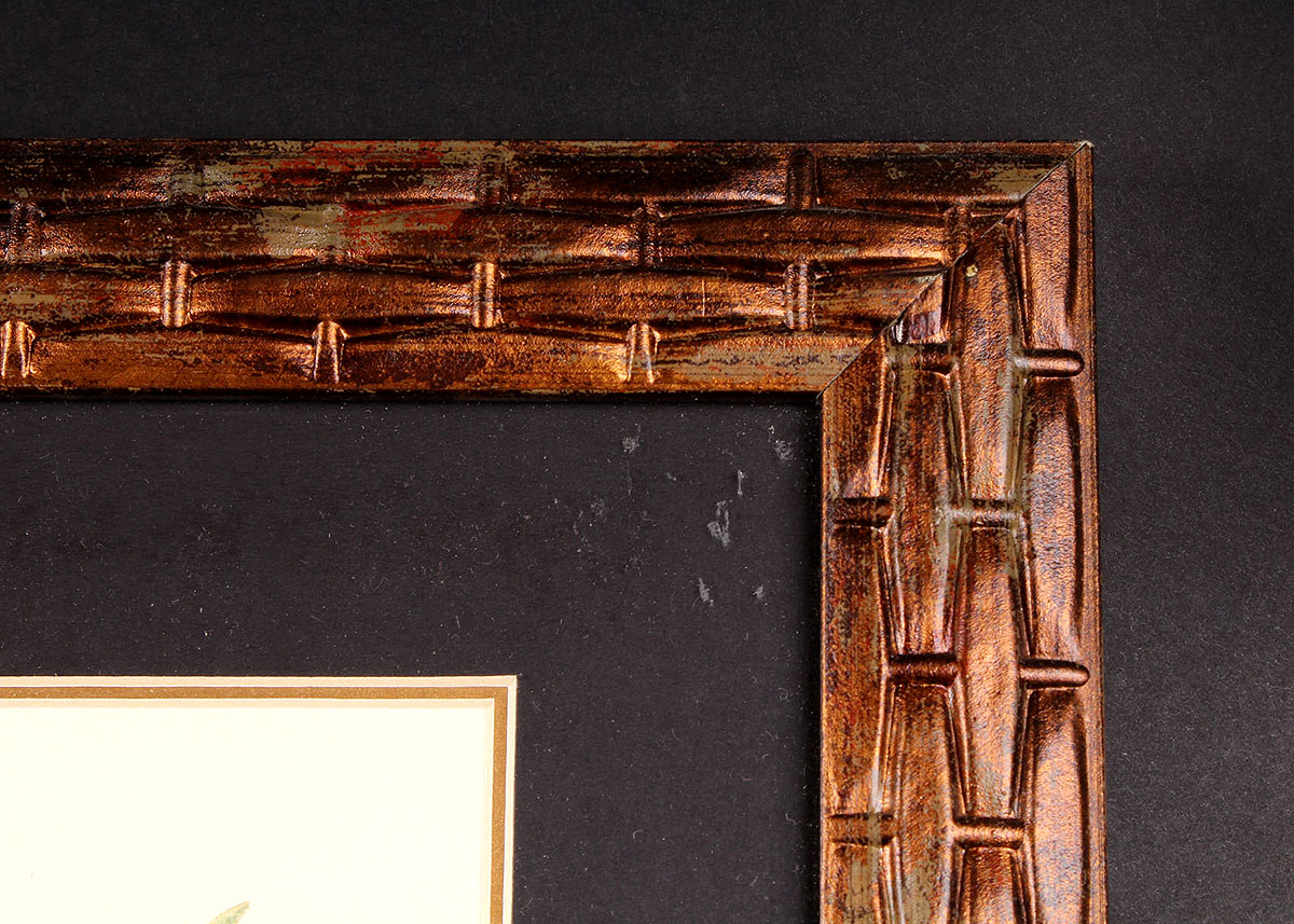 W. Rutledge Framed Birds Offset Lithographs