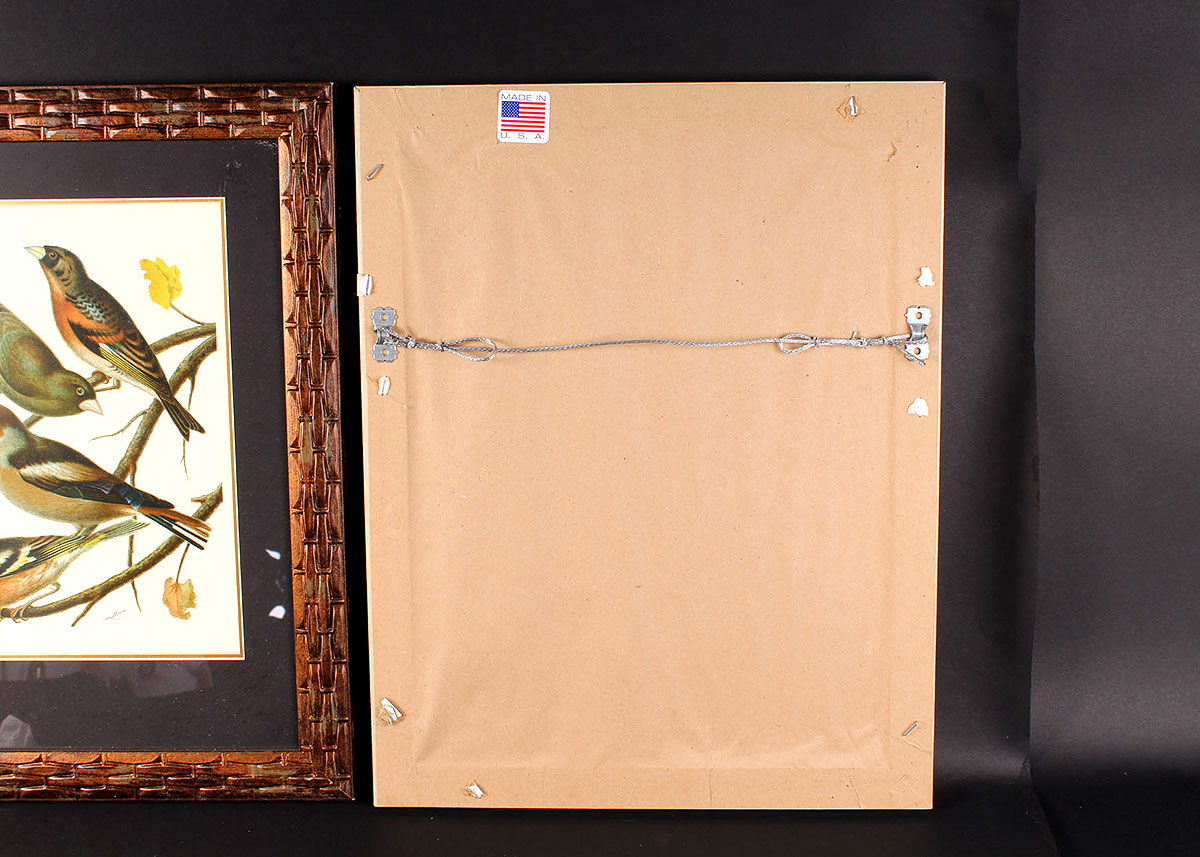 W. Rutledge Framed Birds Offset Lithographs