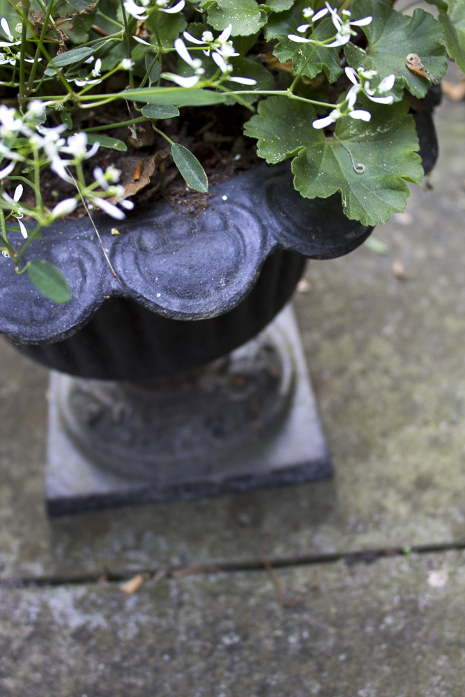 Pair of Metal Pedestal Planters