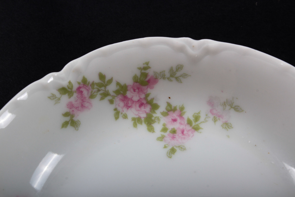 Large Set of Haviland Limoges Porcelain Tableware