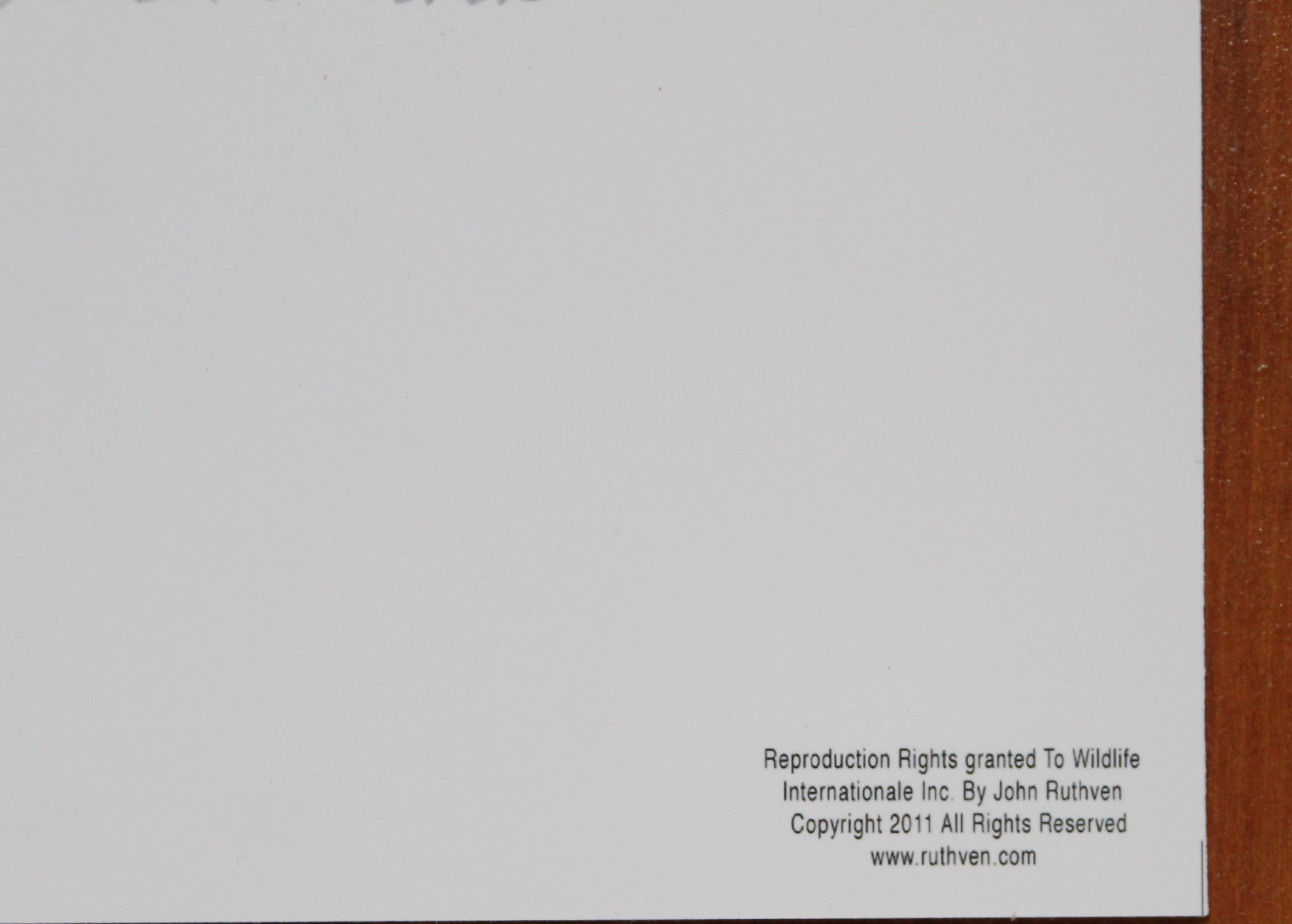 John Ruthven Signed Offset Lithograph Print of "Eden Park"