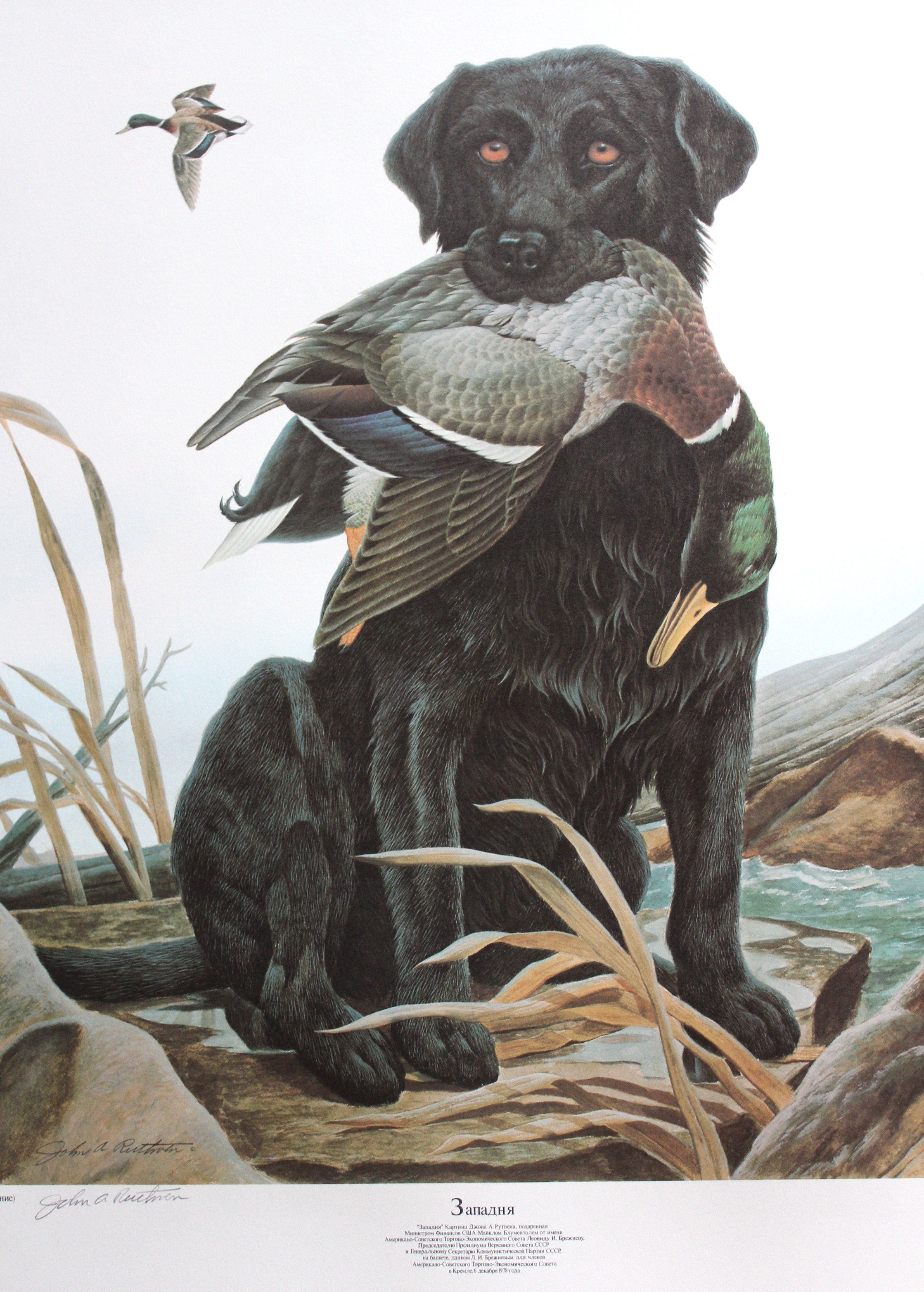 Russian Version of John A. Ruthven's Decoy Offset Lithograph Print