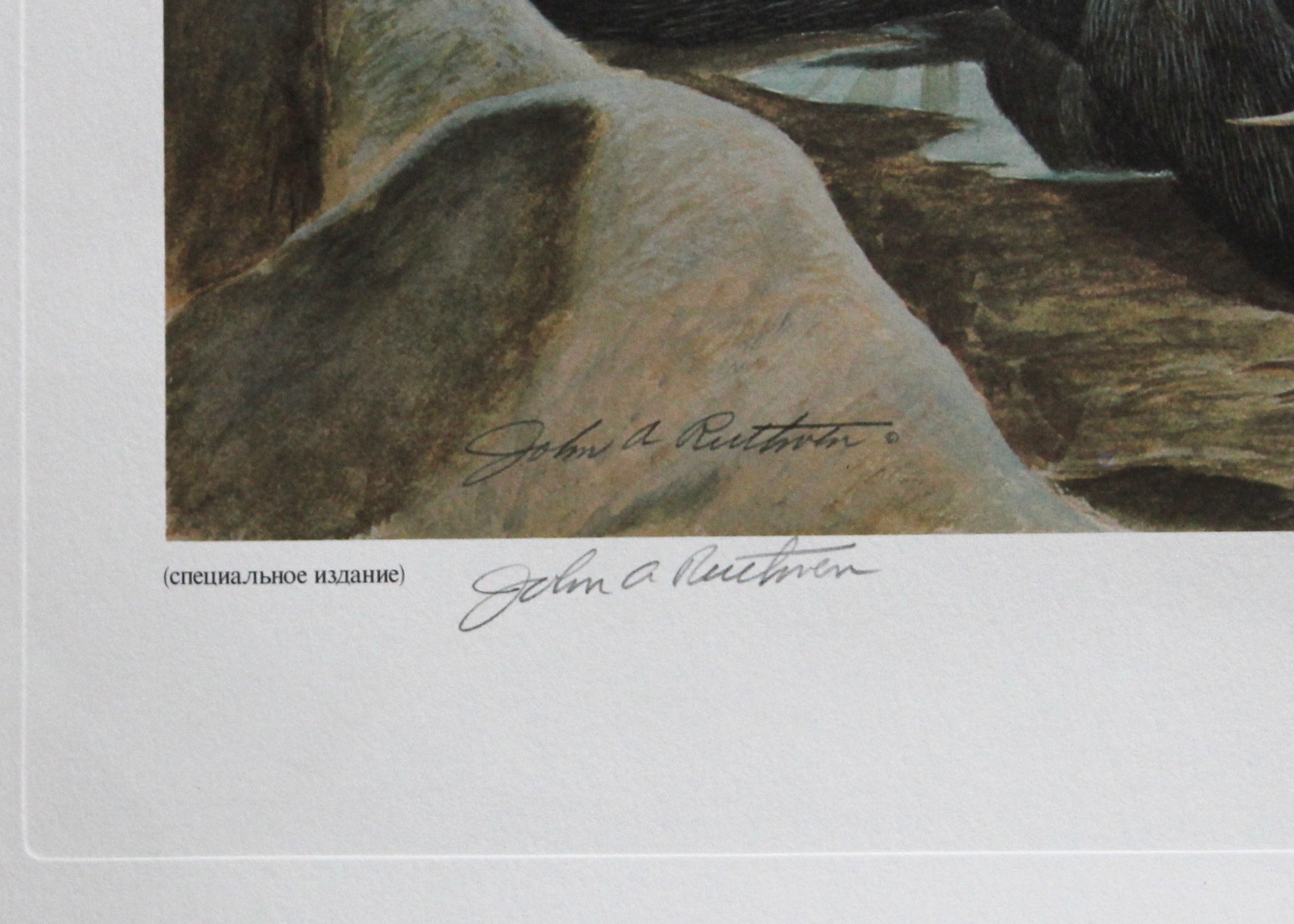 Russian Version of John A. Ruthven's Decoy Offset Lithograph Print