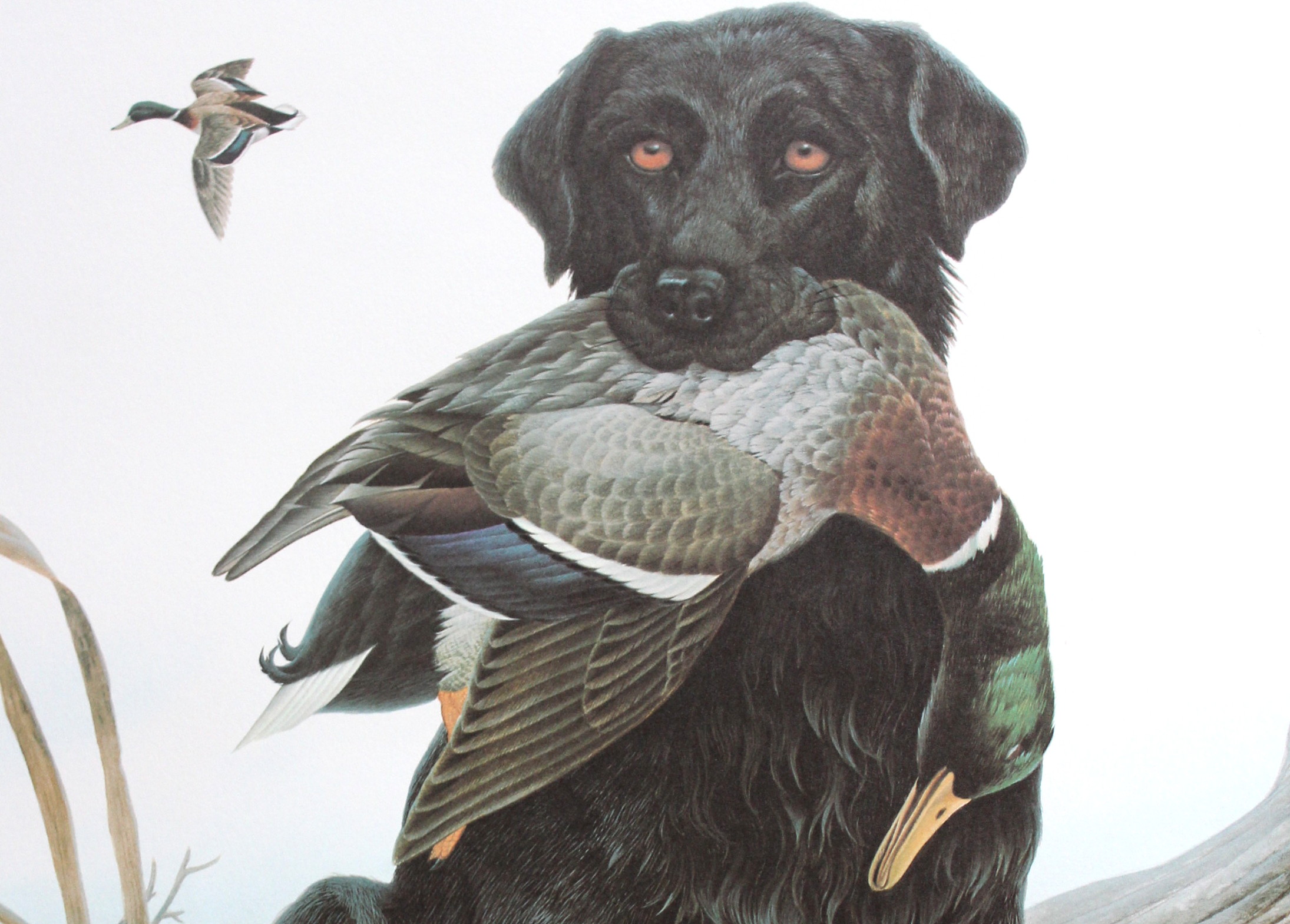 Russian Version of John A. Ruthven's Decoy Offset Lithograph Print