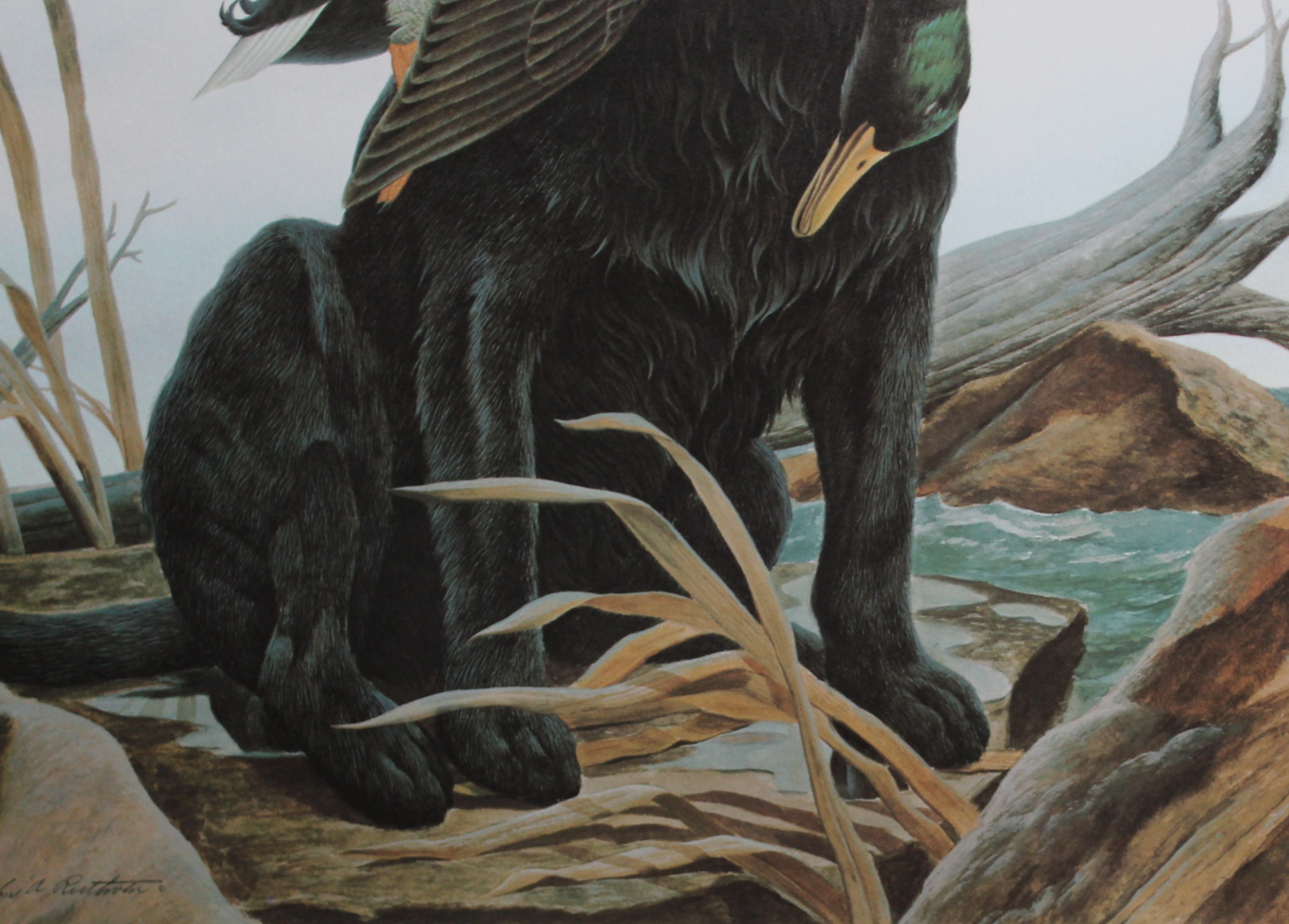 Russian Version of John A. Ruthven's Decoy Offset Lithograph Print