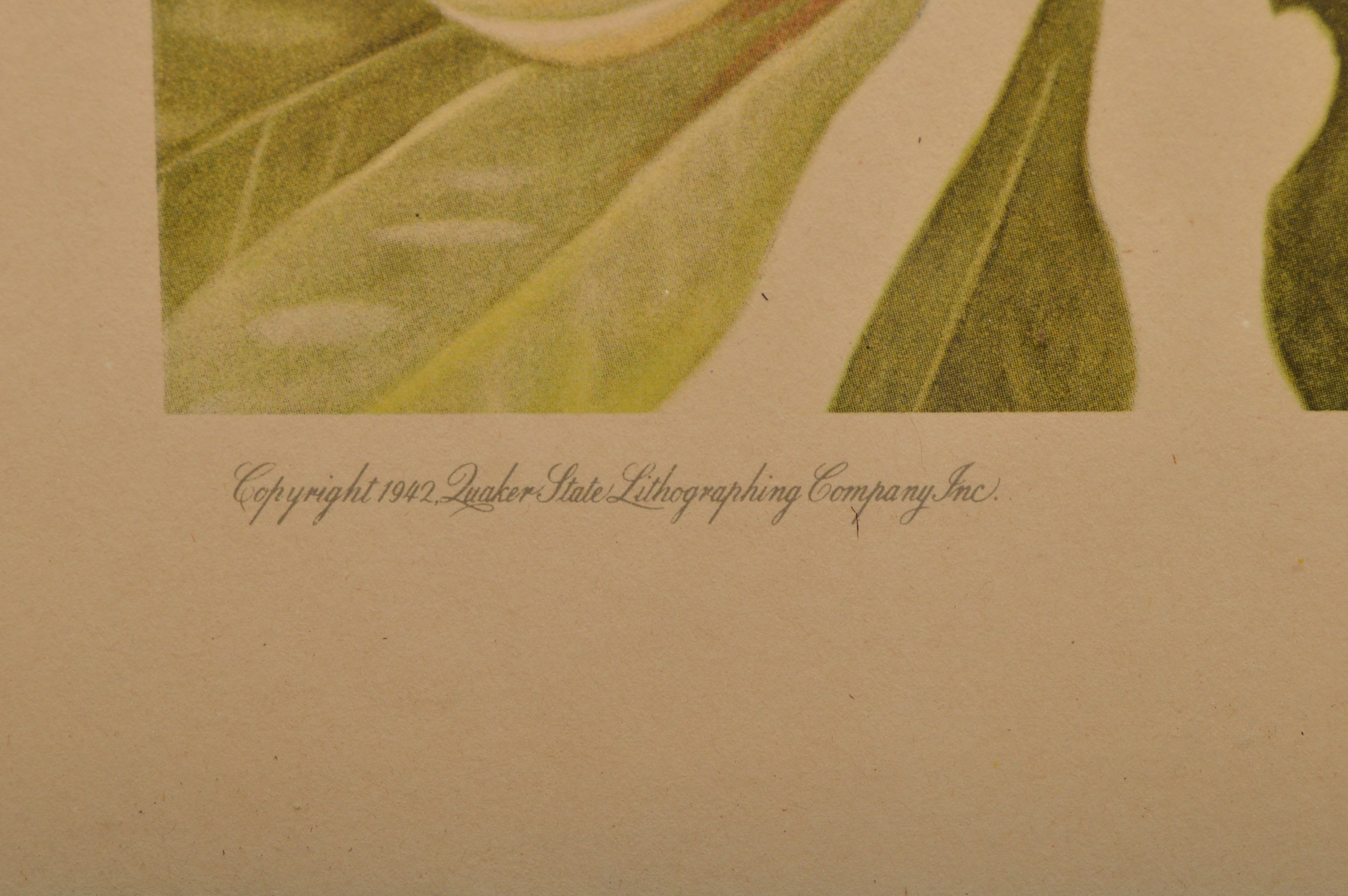 Bird Offset Lithographs