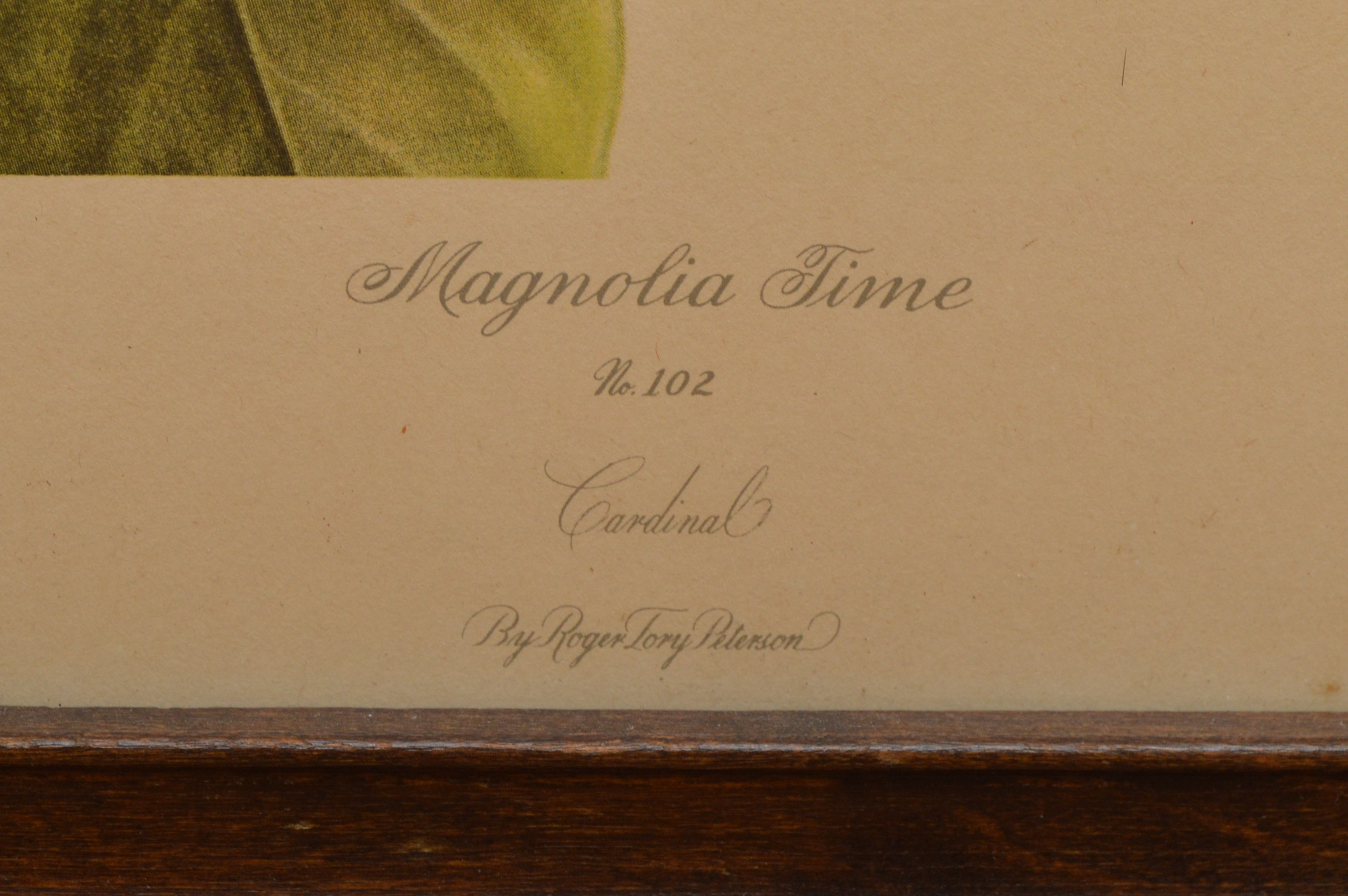 Bird Offset Lithographs