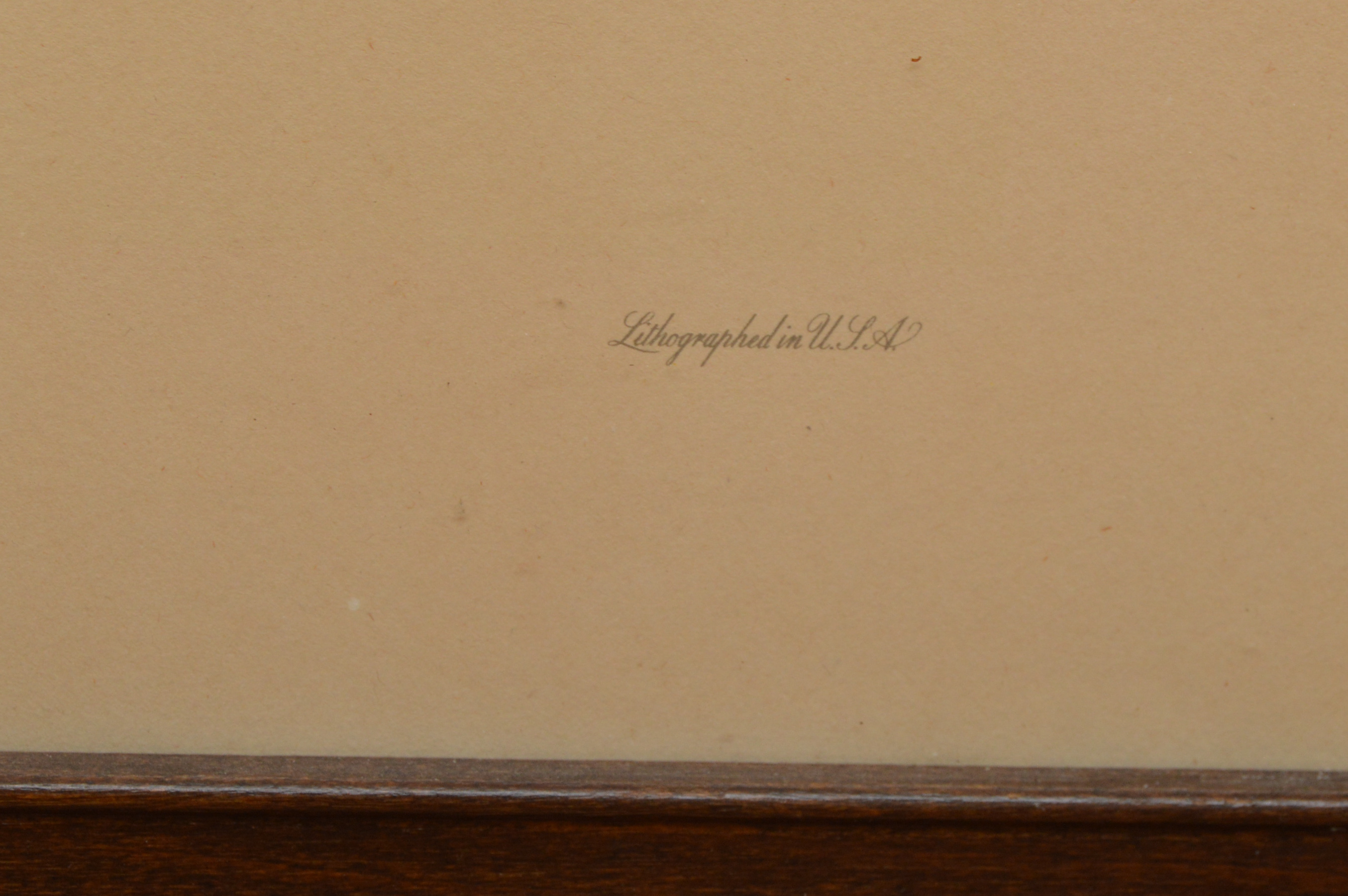 Bird Offset Lithographs