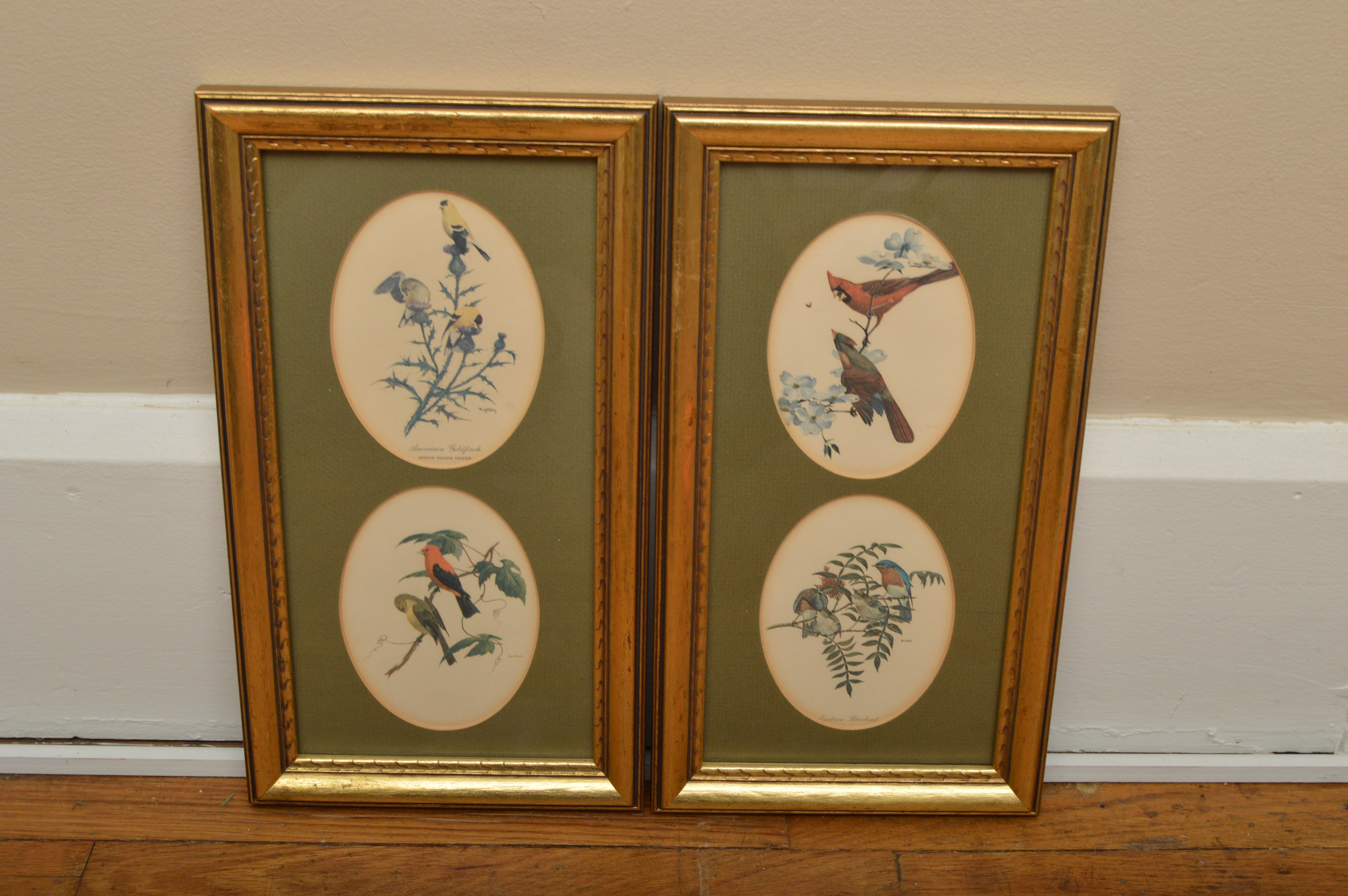 Bird Offset Lithographs
