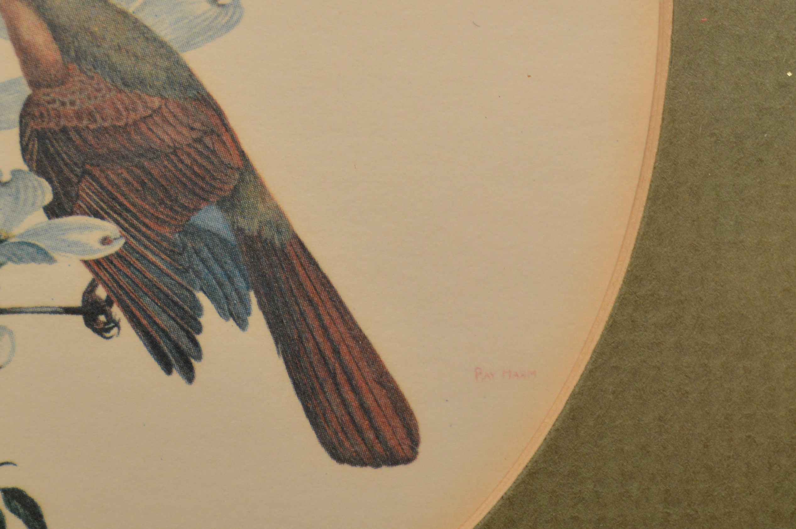 Bird Offset Lithographs