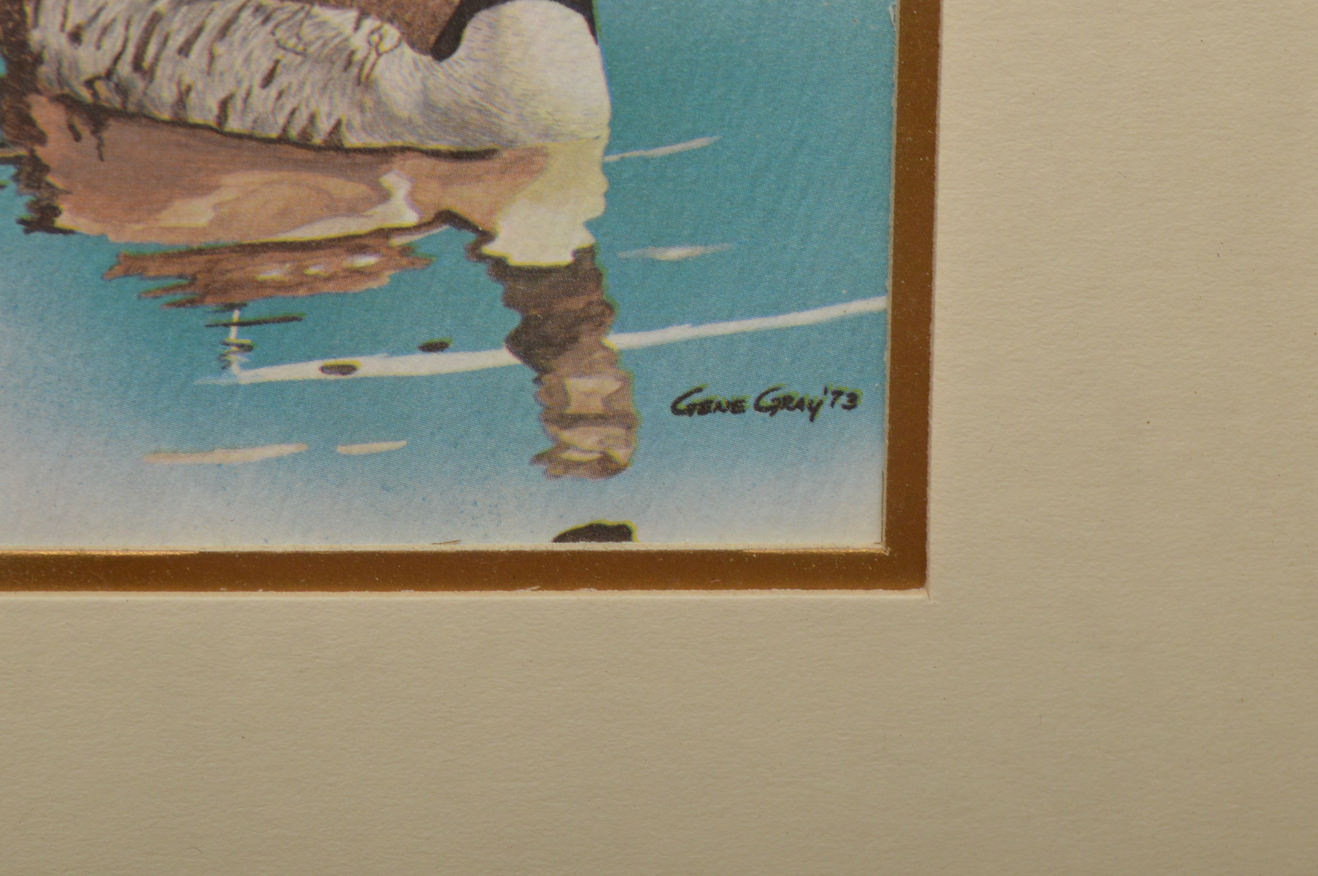 Bird Offset Lithographs