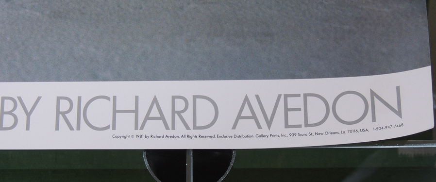 Richard Avedon Full Color Poster of Nastassja Kinski