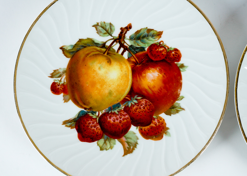 Old Nuremberg Bavarian China Plate Set