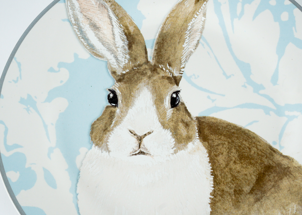 Williams-Sonoma Rabbit Plates