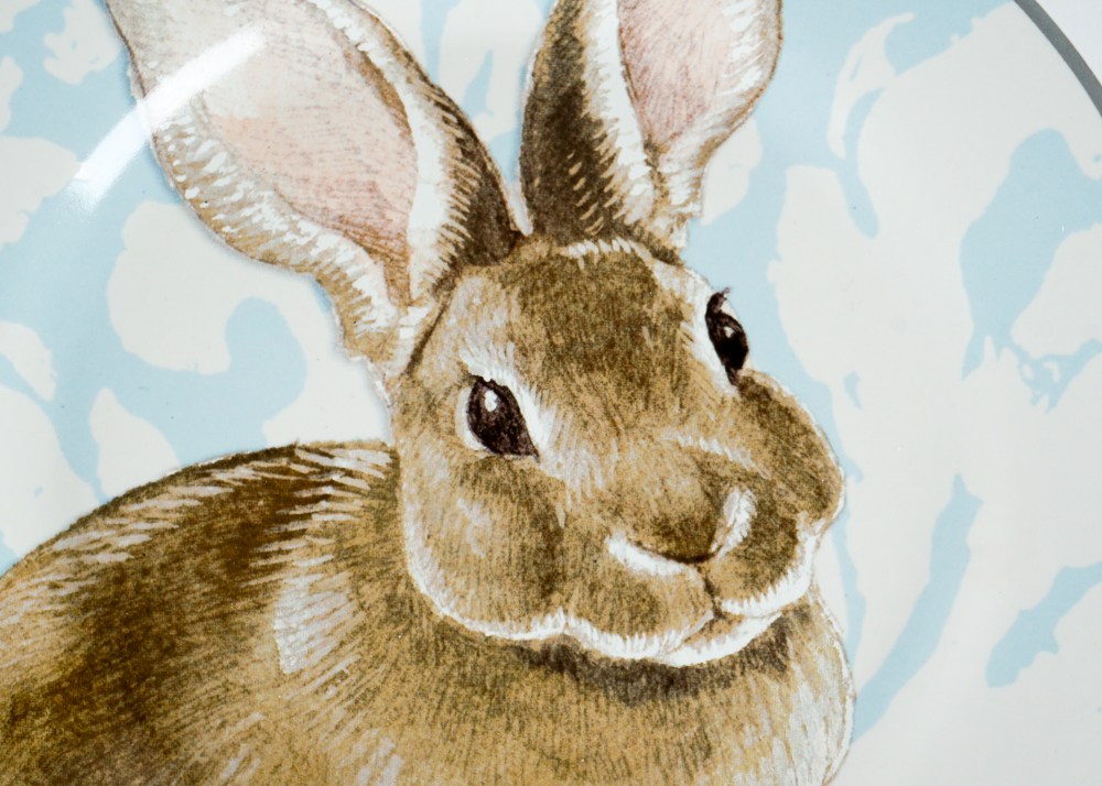 Williams-Sonoma Rabbit Plates