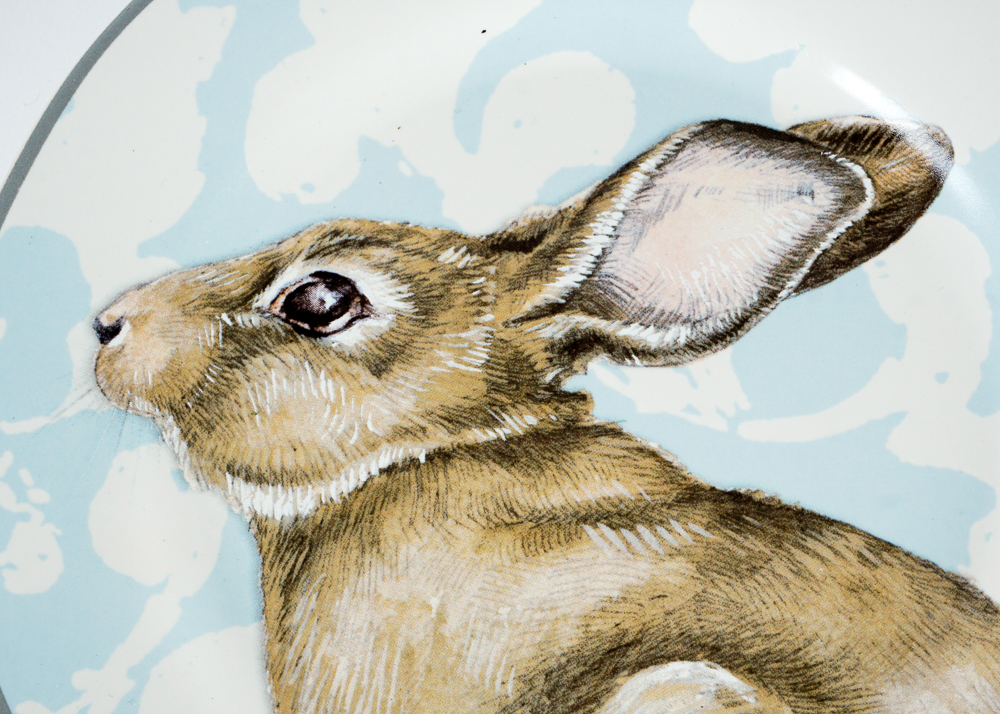 Williams-Sonoma Rabbit Plates