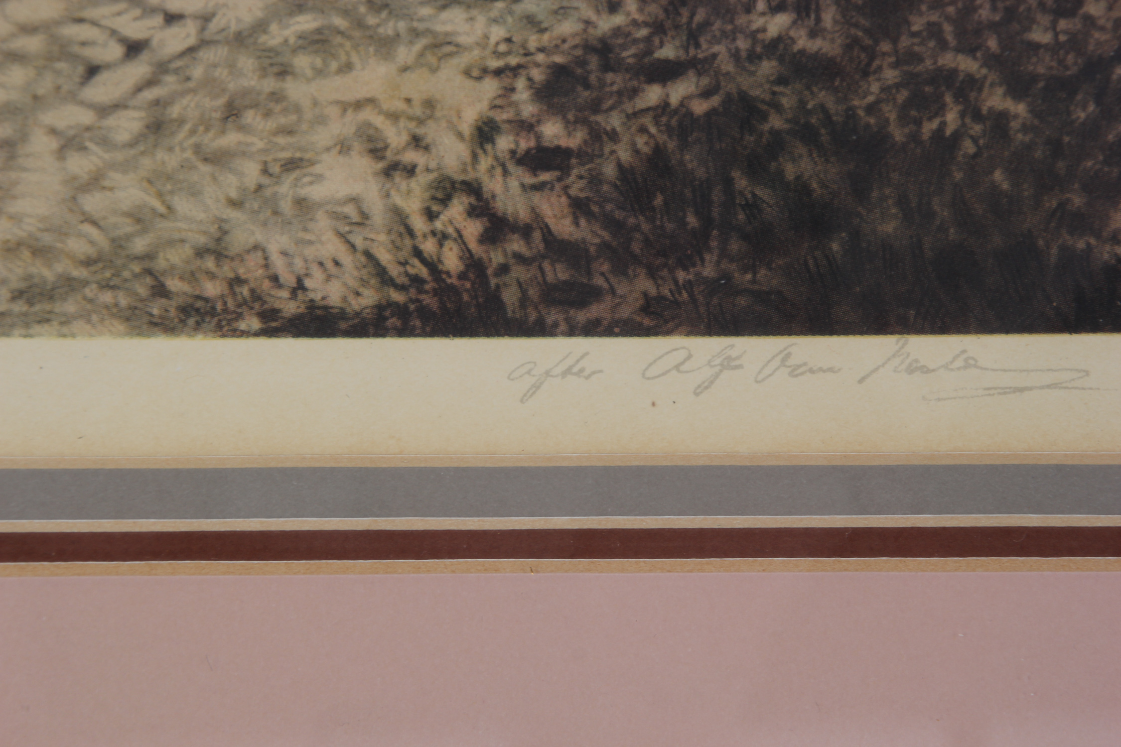 Framed Print After AJ Van Santen