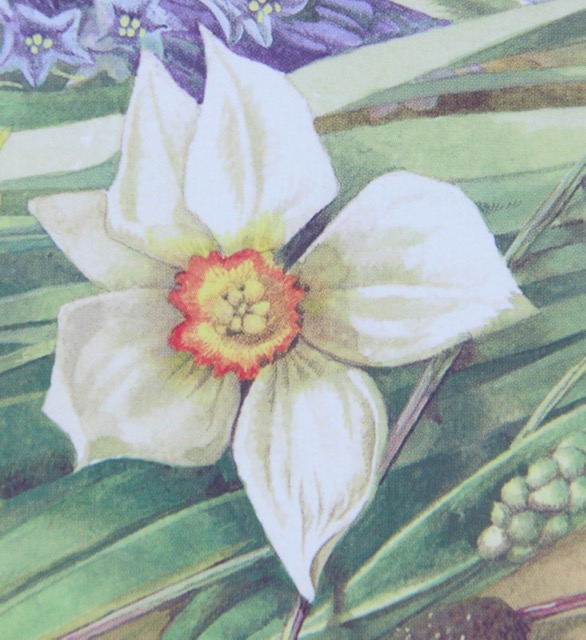 Framed Offset Lithographs from Popular Artists N.A. Noel and Marjolein Bastin