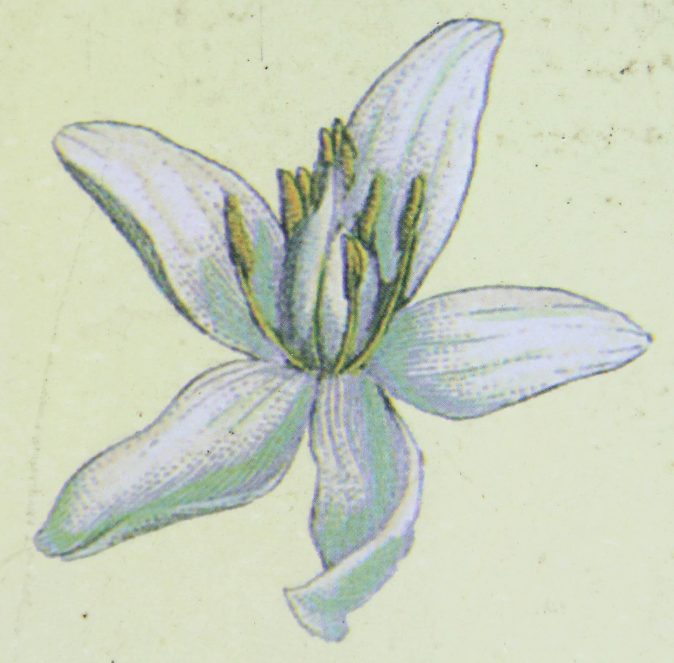 Offset Lithograph Reproduction Wall Art