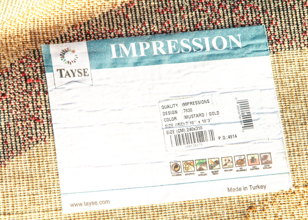 Large Contemporary Abstract Area Rug