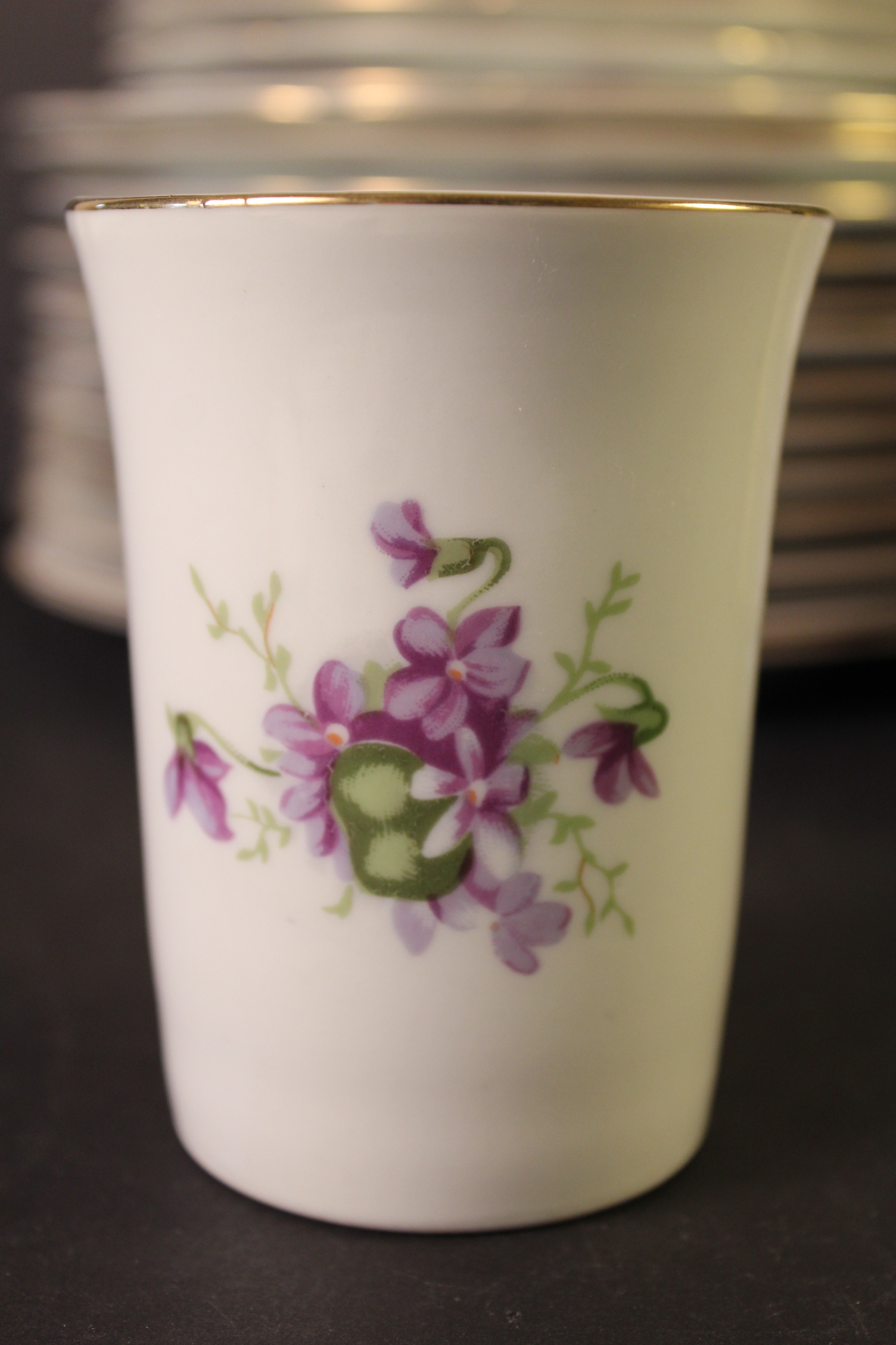 Set of Rossetti Chicago "Spring Violets" Hand Painted China