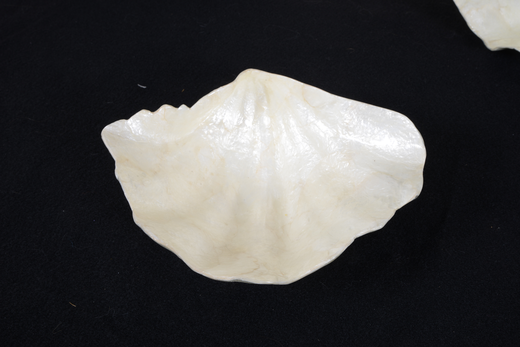 Mother of Pearl Serving Dishes