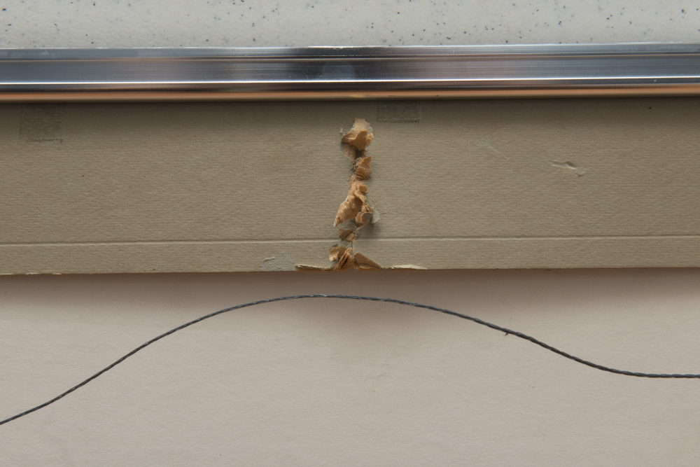 After Pablo Picasso "Dove III Peace"  Silk-Screen